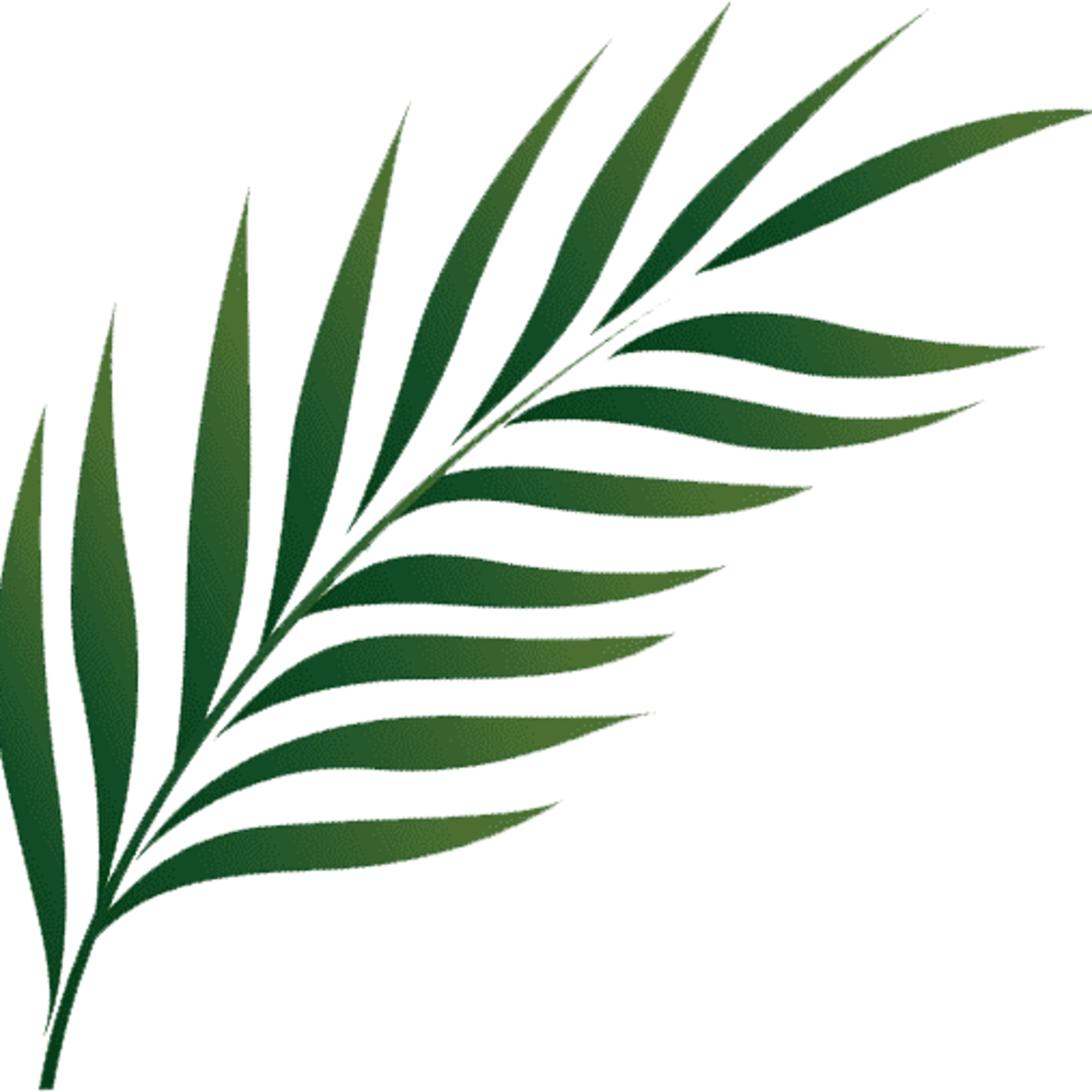 恩约教会主日讲道