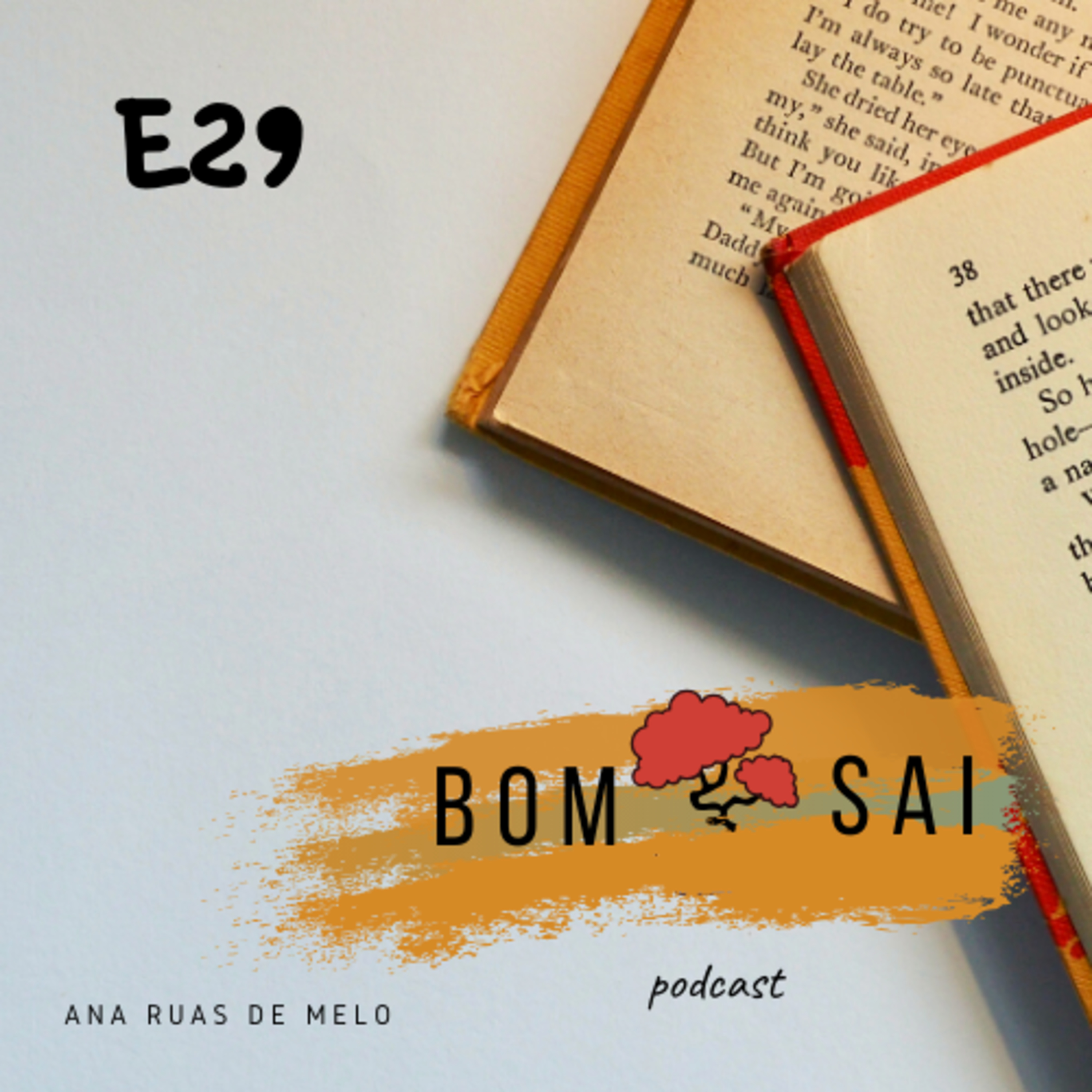 Episódio 29 - Excertos de livros que me marcaram #1 episode artwork