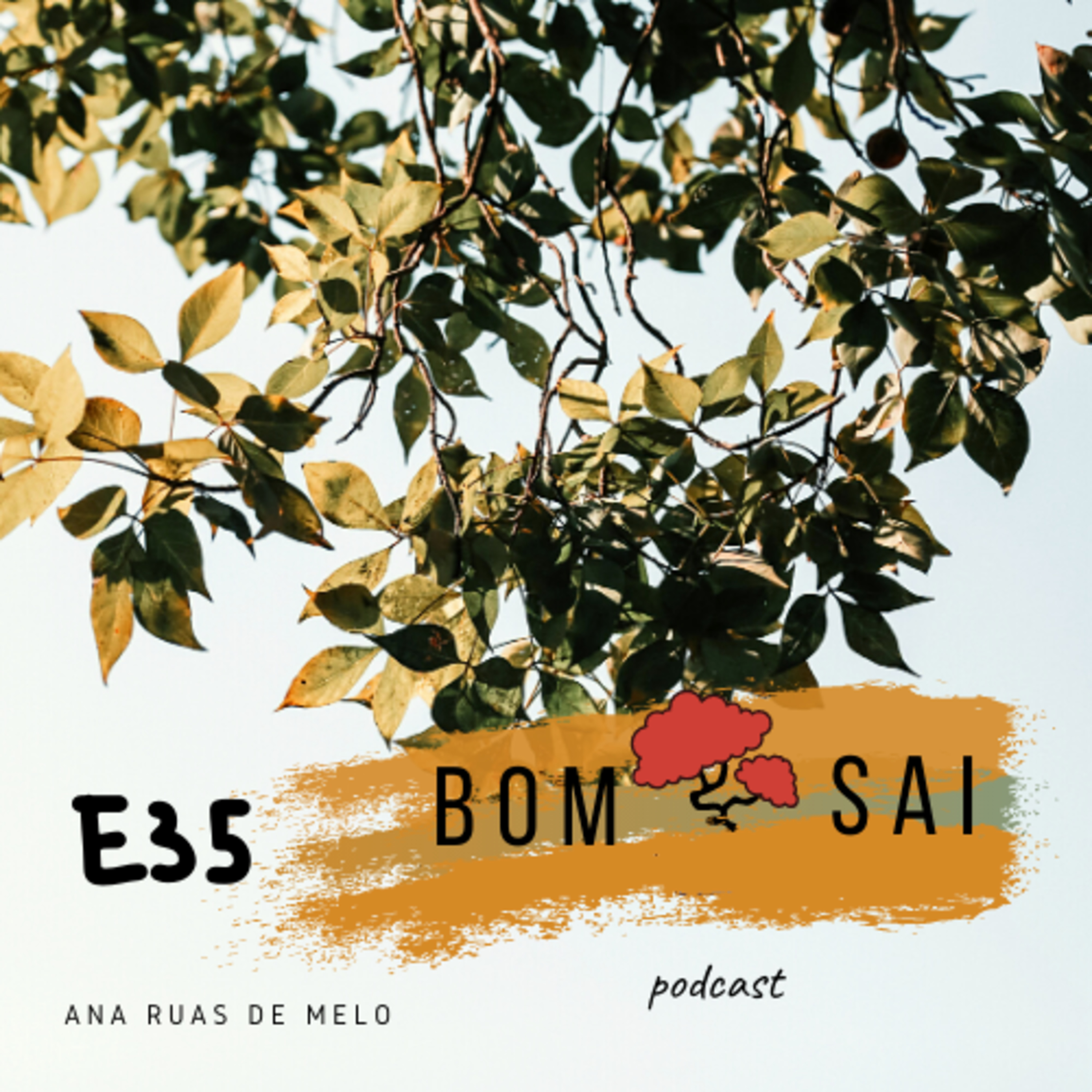 Episódio 35 - Excertos de livros que me marcaram #3 episode artwork