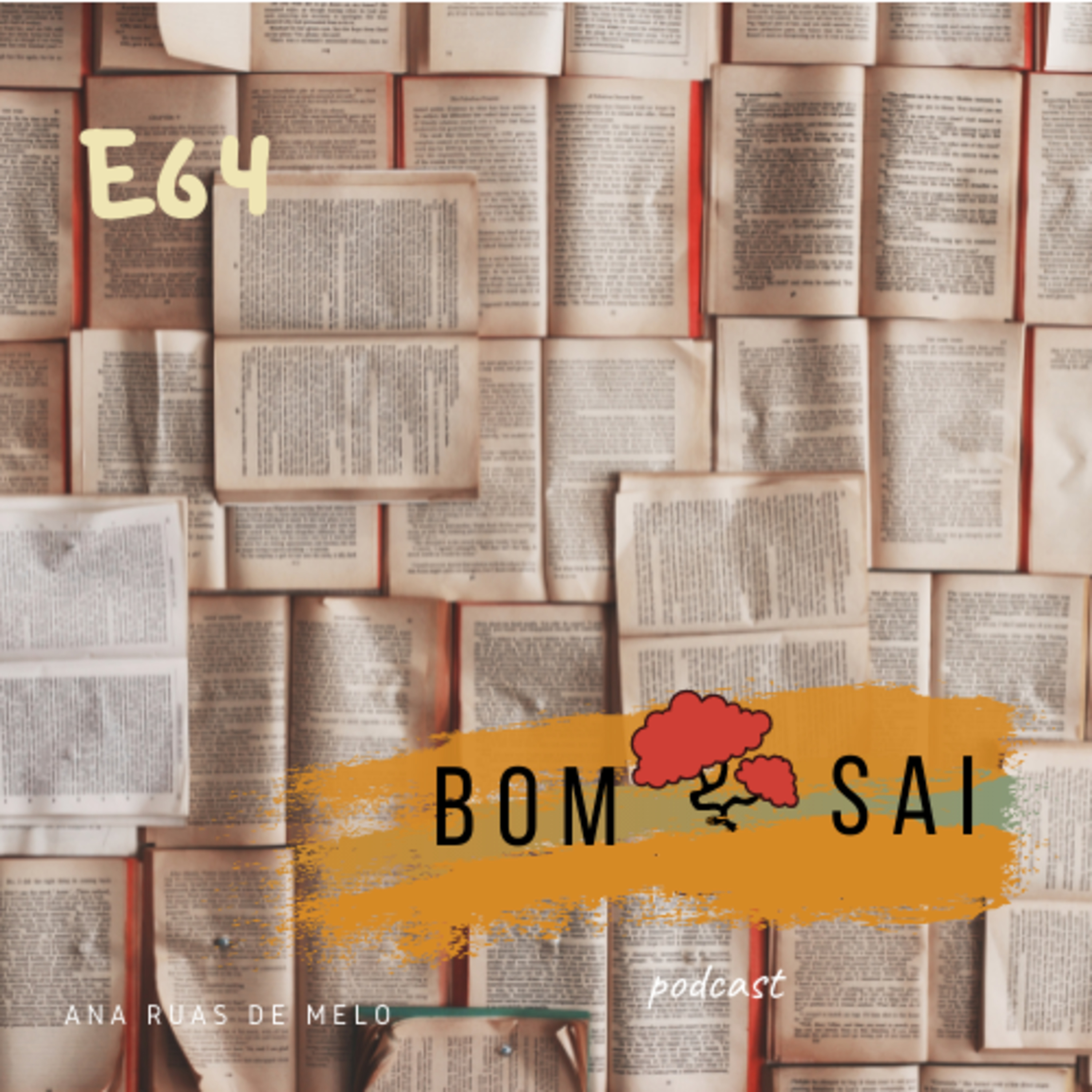 Episódio 64 - Excertos de livros que me marcaram #6 - Anne Frank e Malala Yousafzai episode artwork