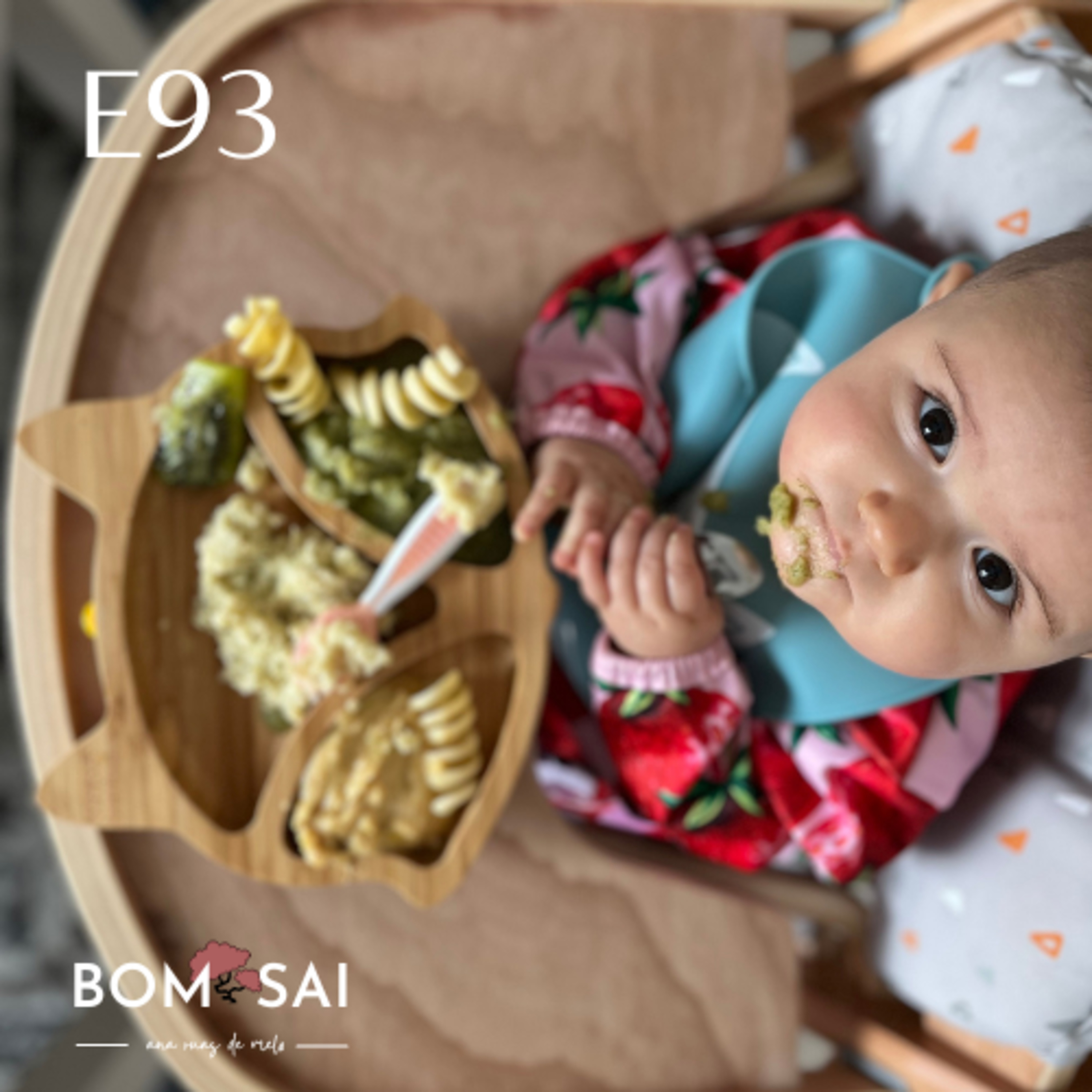 Episódio 93 - Inspiração para início do ano, introdução alimentar e reflexão sobre o papel de mãe episode artwork