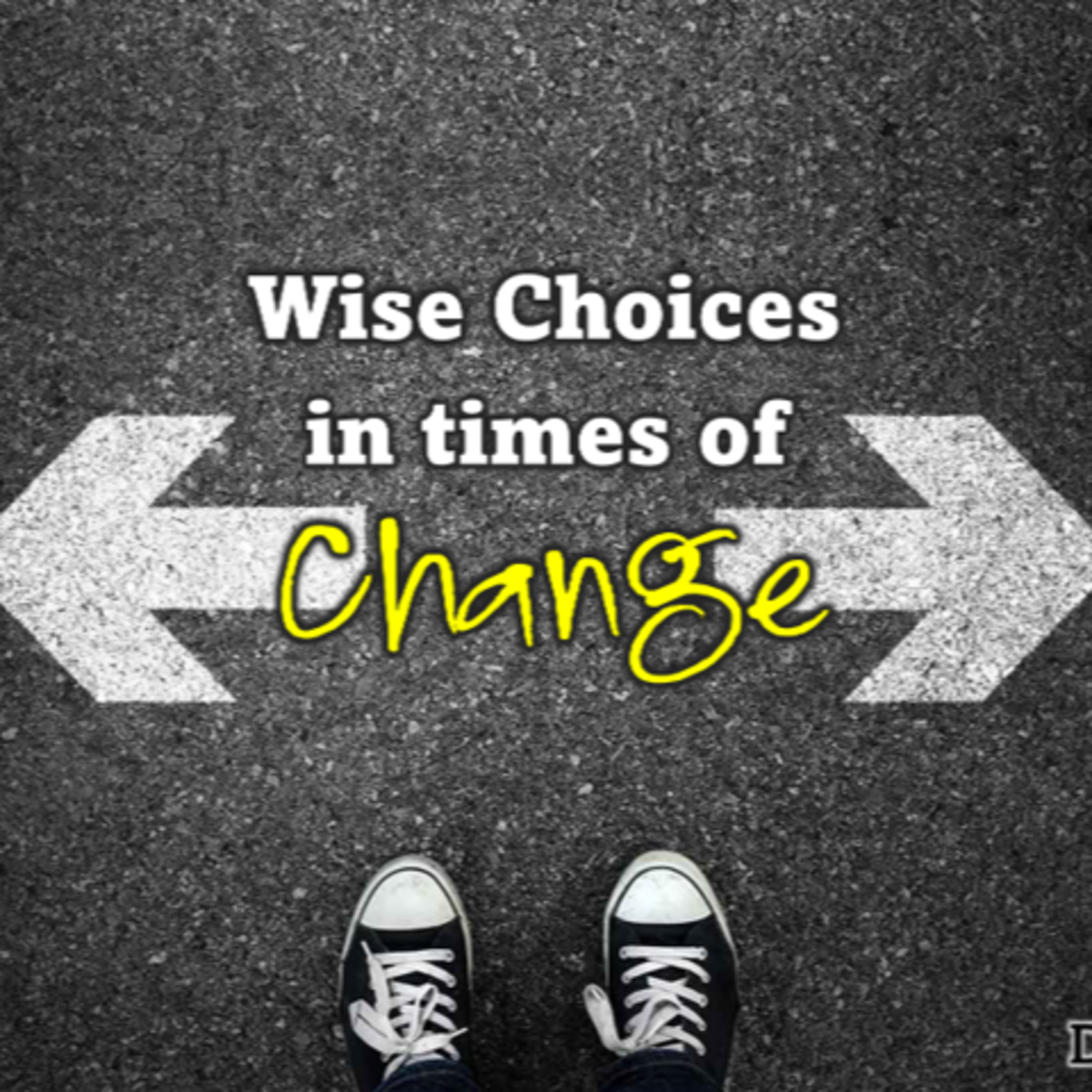 Wise Choices in Change episode artwork