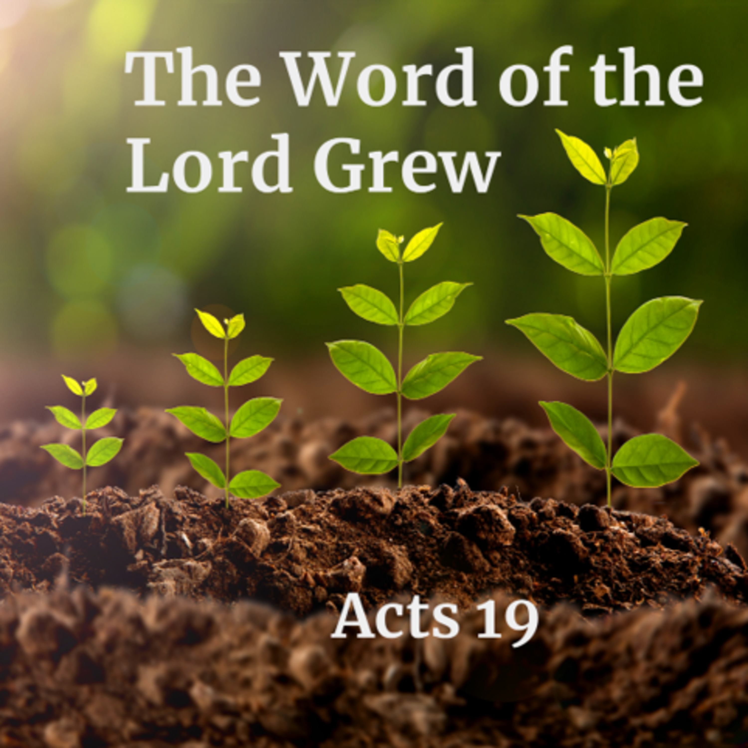 The Word of the Lord Grew episode artwork