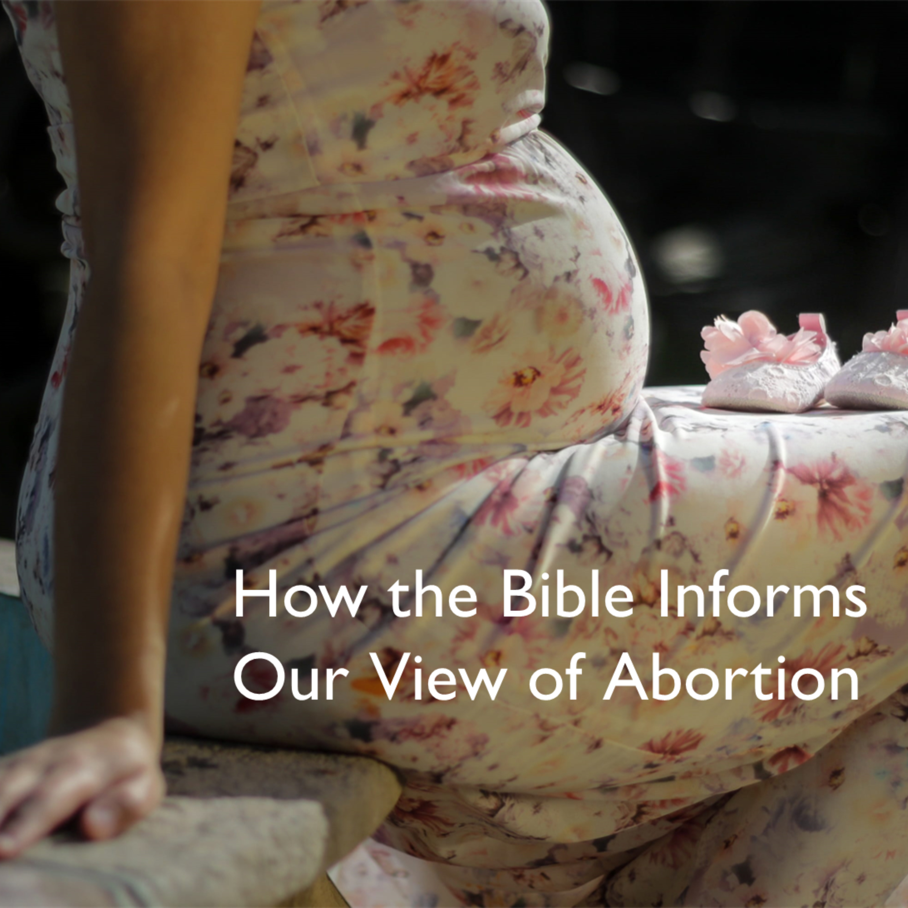 How the Bible Informs Our View of Abortion episode artwork