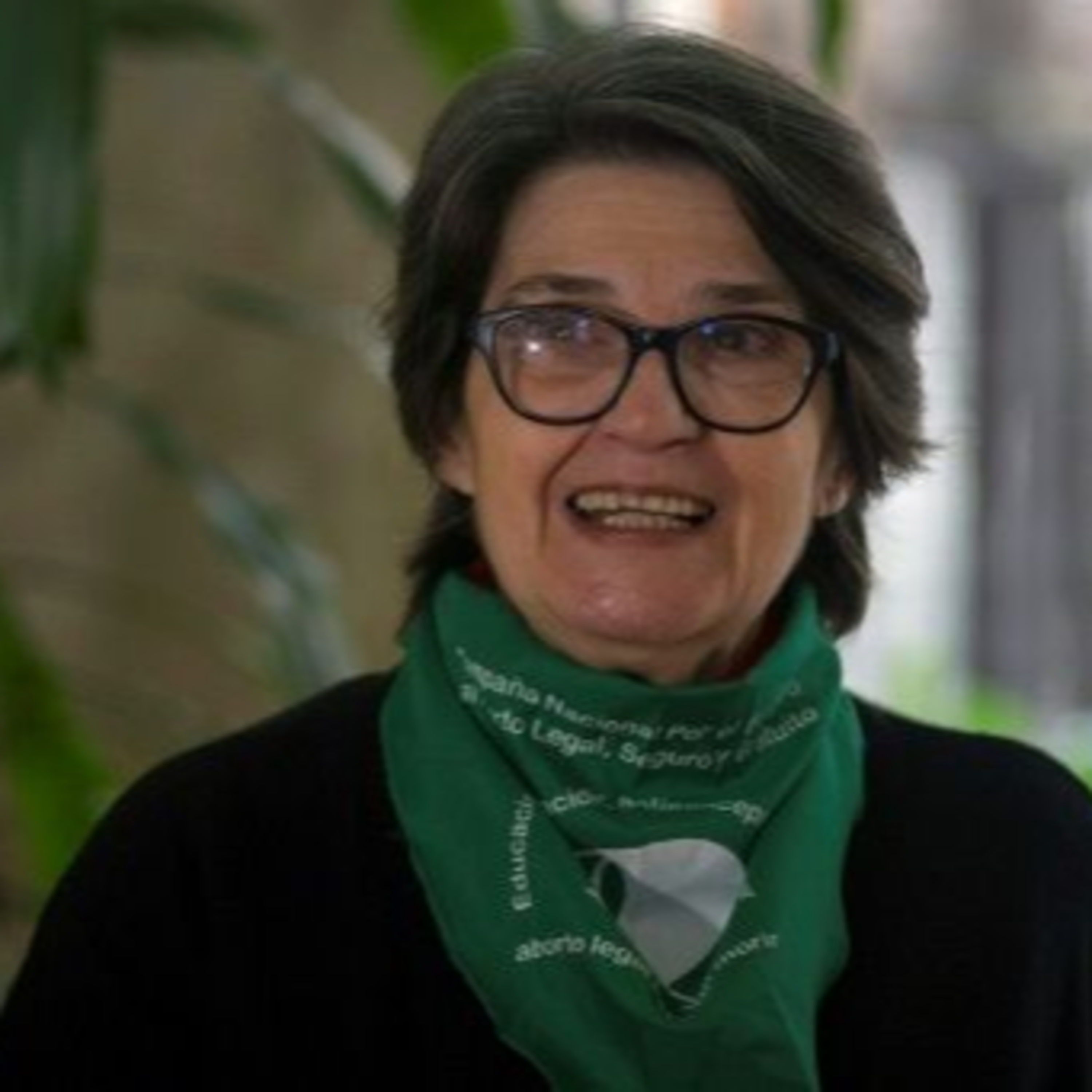 CABA se adhirió al protocolo ILE: “No se necesita nada más que una declaración jurada de quien lo solicite" episode artwork