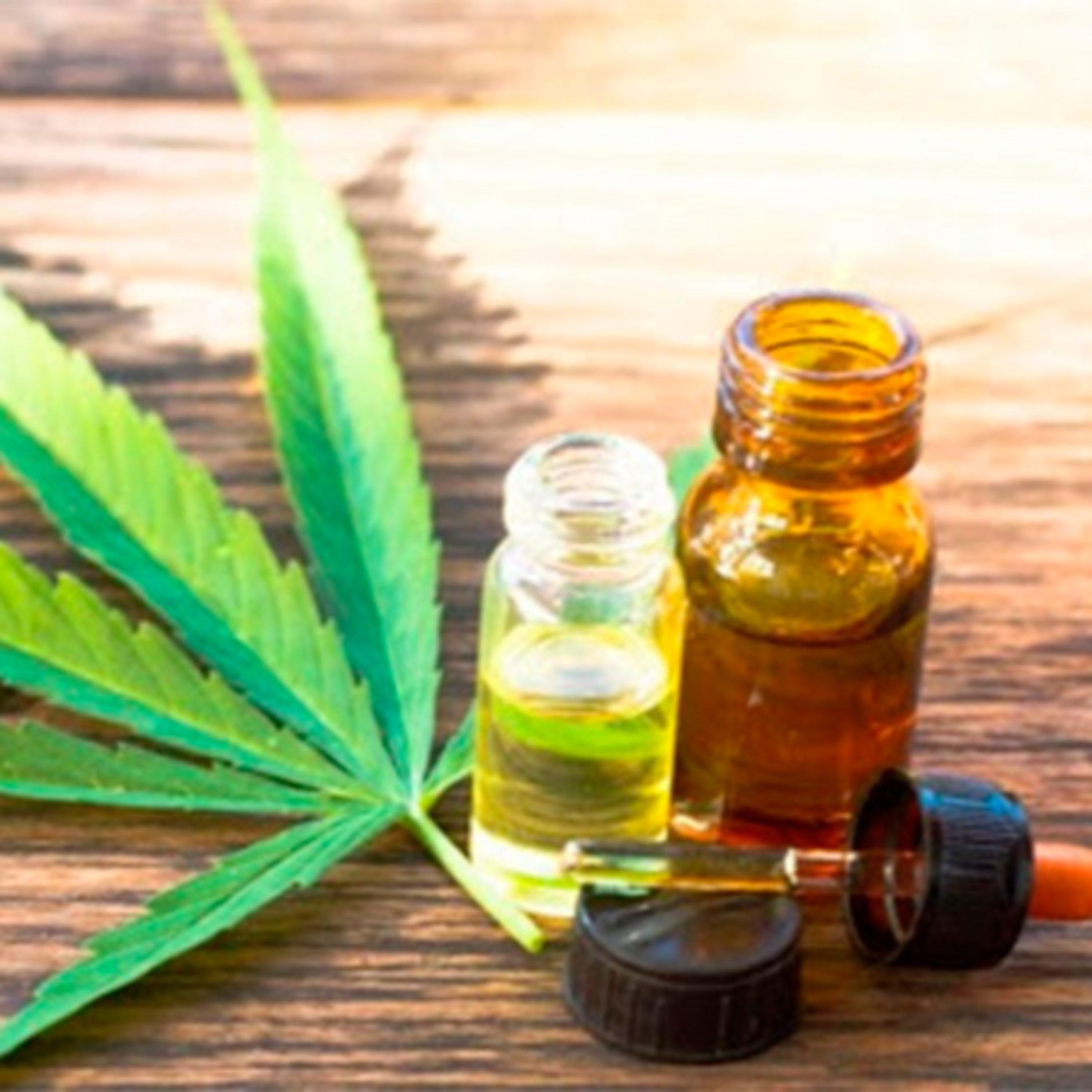 Uso medicinal del canabis: las claves de la reglamentación  episode artwork