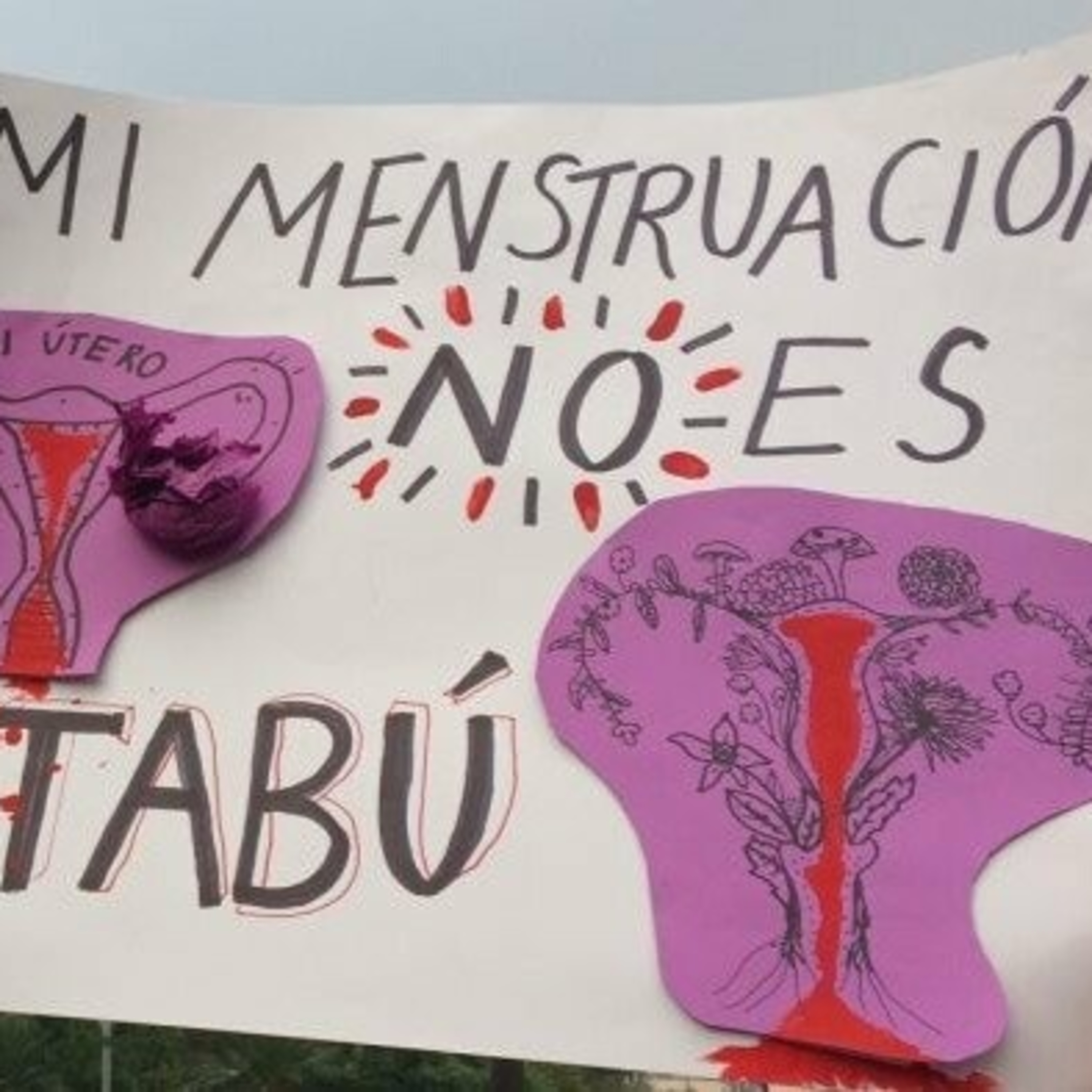 Presentaron un proyecto de ordenanza por el derecho al acceso igualitario a la gestión menstrual episode artwork