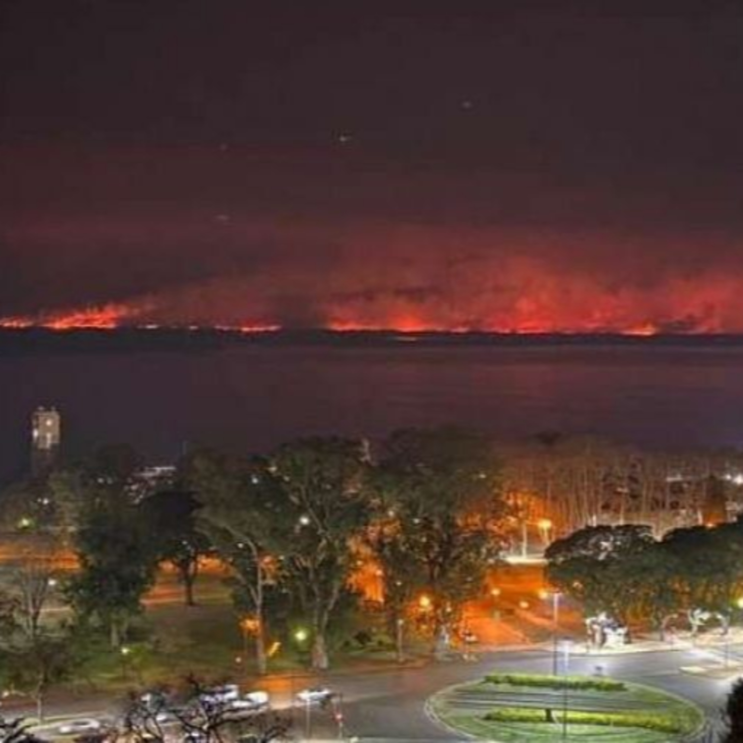 Incendios en el delta del Paraná: arrasaron con tres veces la superficie de CABA episode artwork