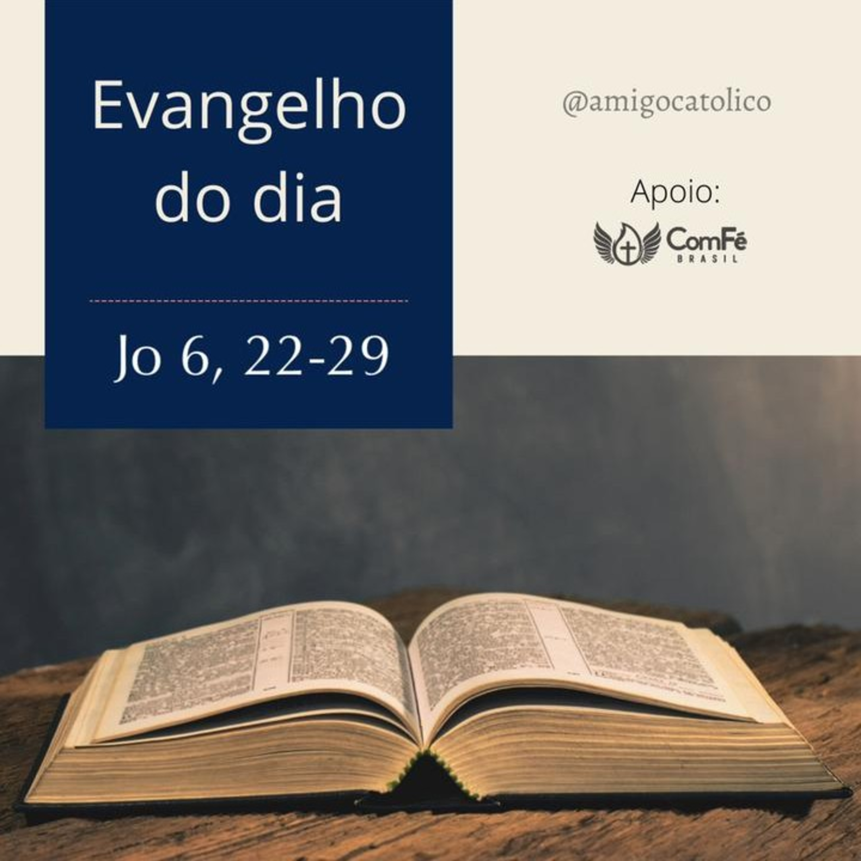 Buscar a Vida Eterna (Reflexão do Evangelho 19/04/21) episode artwork