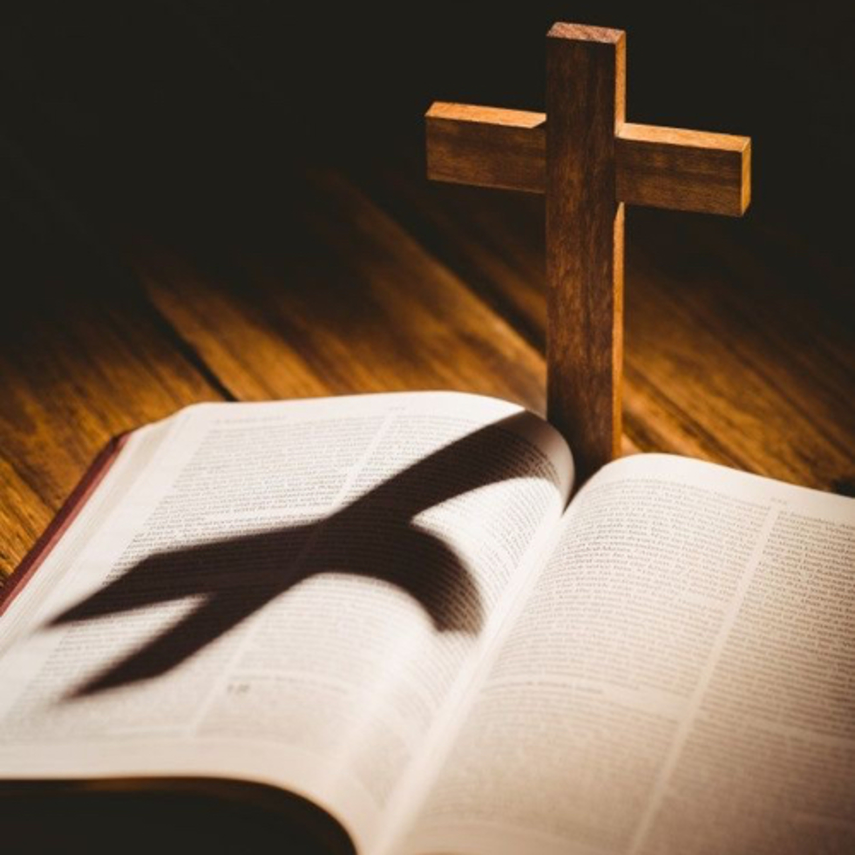 Como ser um discípulo segundo o coração de Deus | Evangelho do Dia  episode artwork
