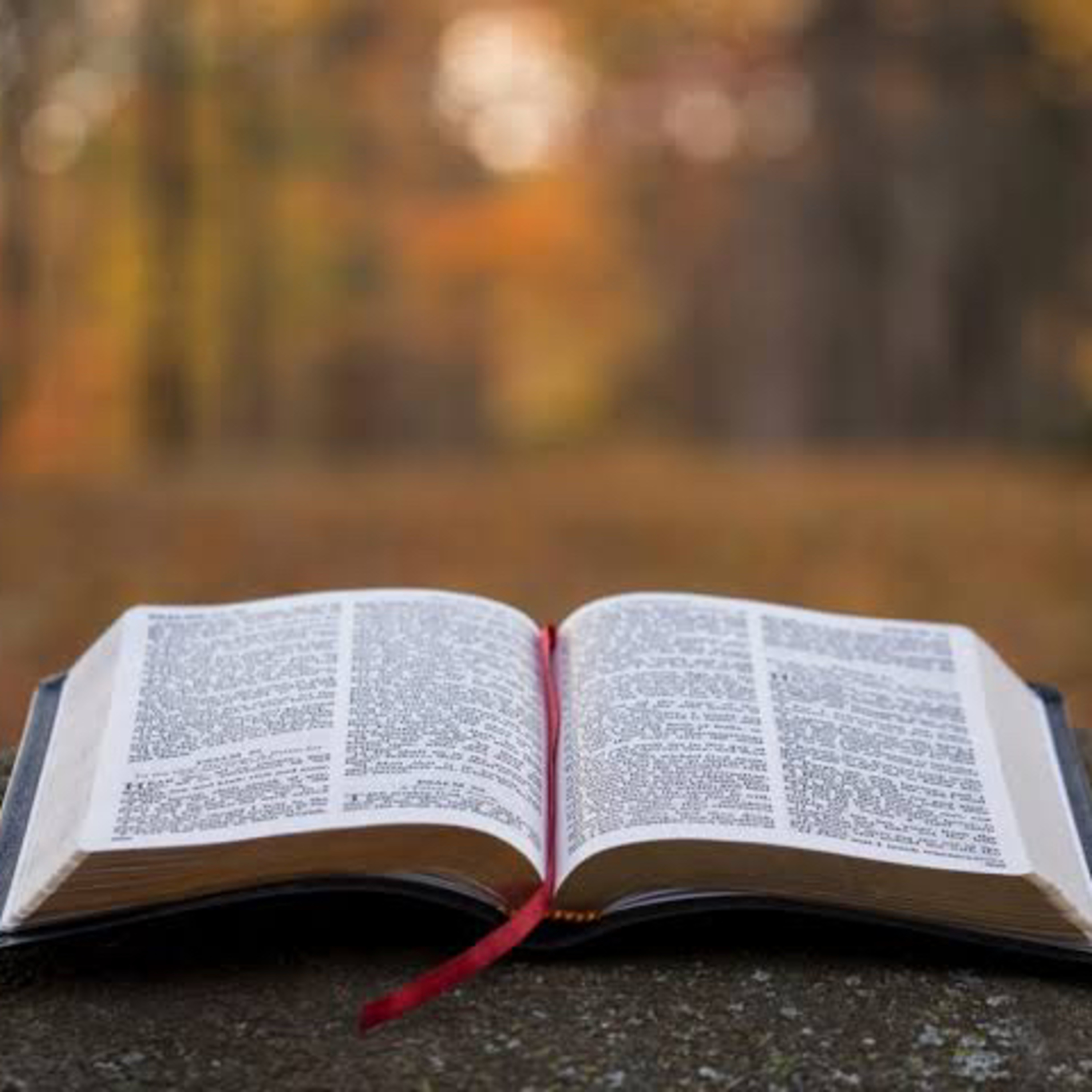 O que fazer com as tristezas da vida | Evangelho do dia  episode artwork