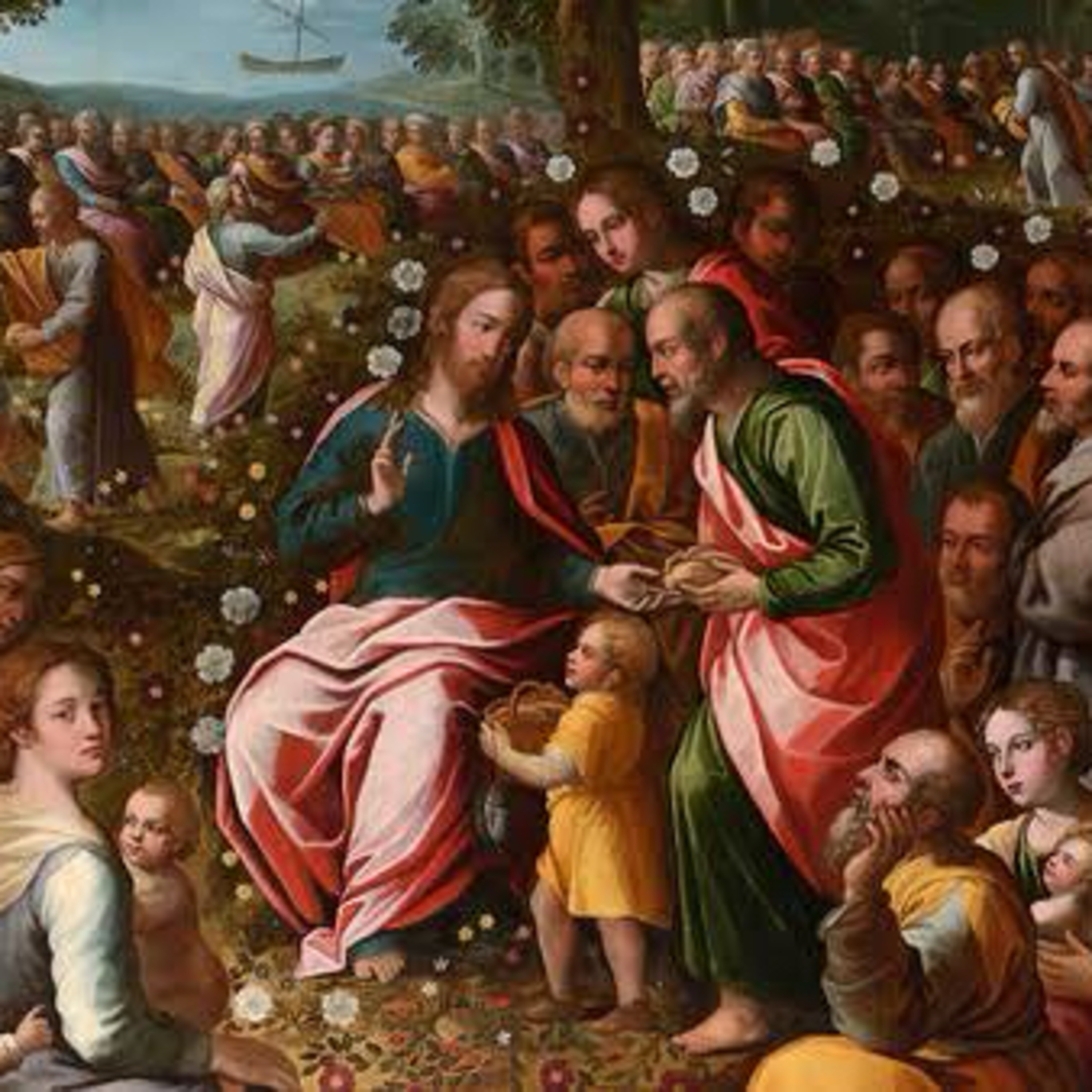 Os ensinamentos da Multiplicação dos Pães | Evangelho do dia  episode artwork