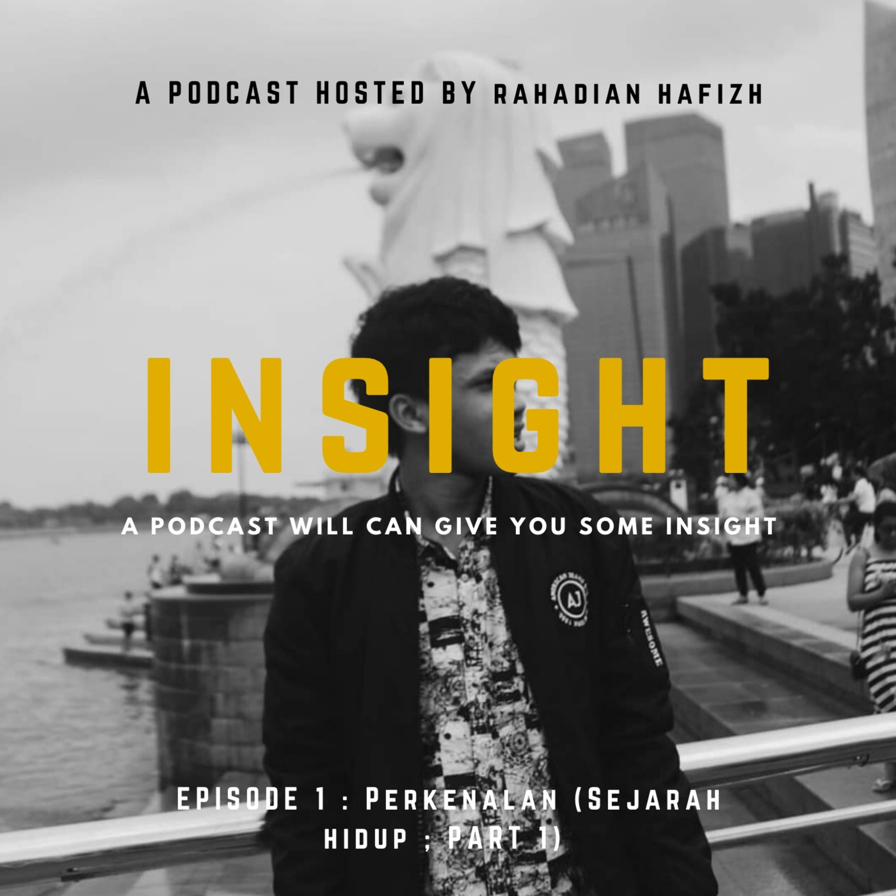 Insight Podcast