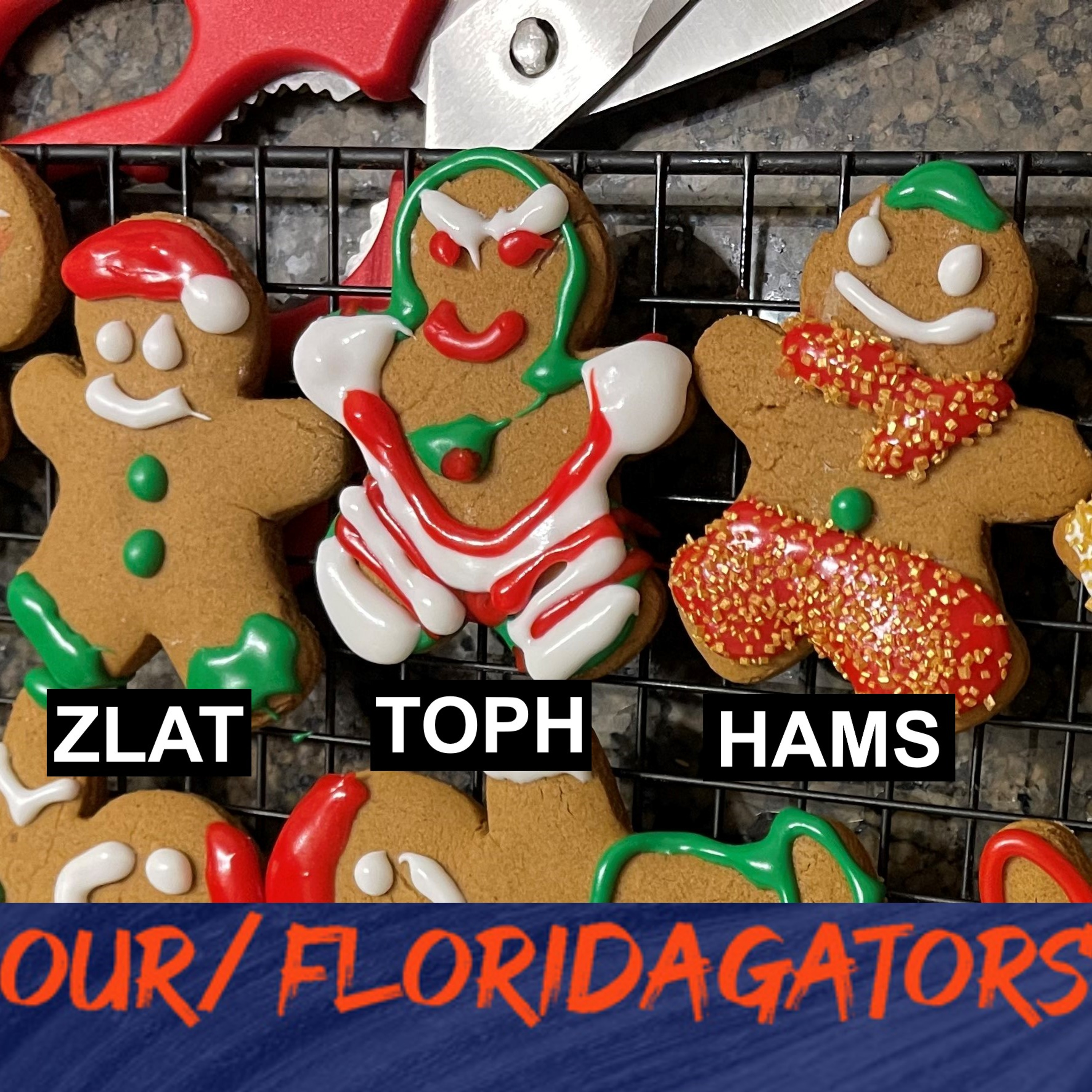 Merry Christmas Ya Filthy Gators
