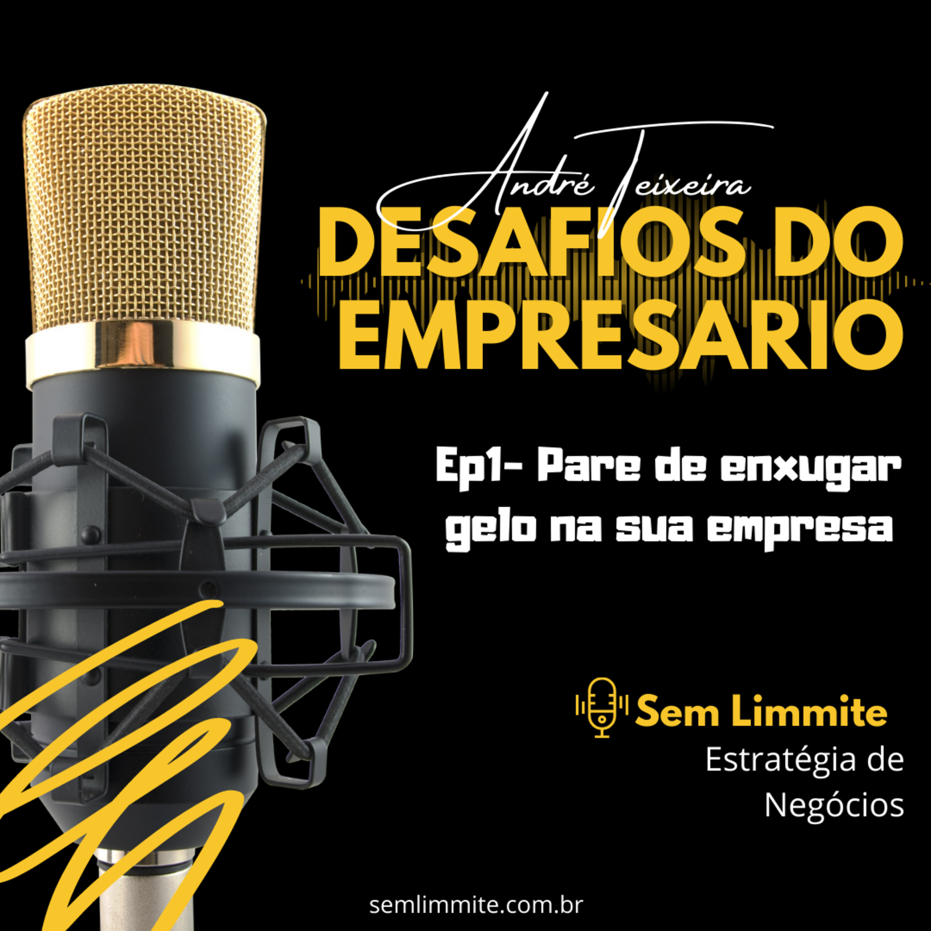 Ep1- Pare de enxugar gelo na sua empresa episode artwork