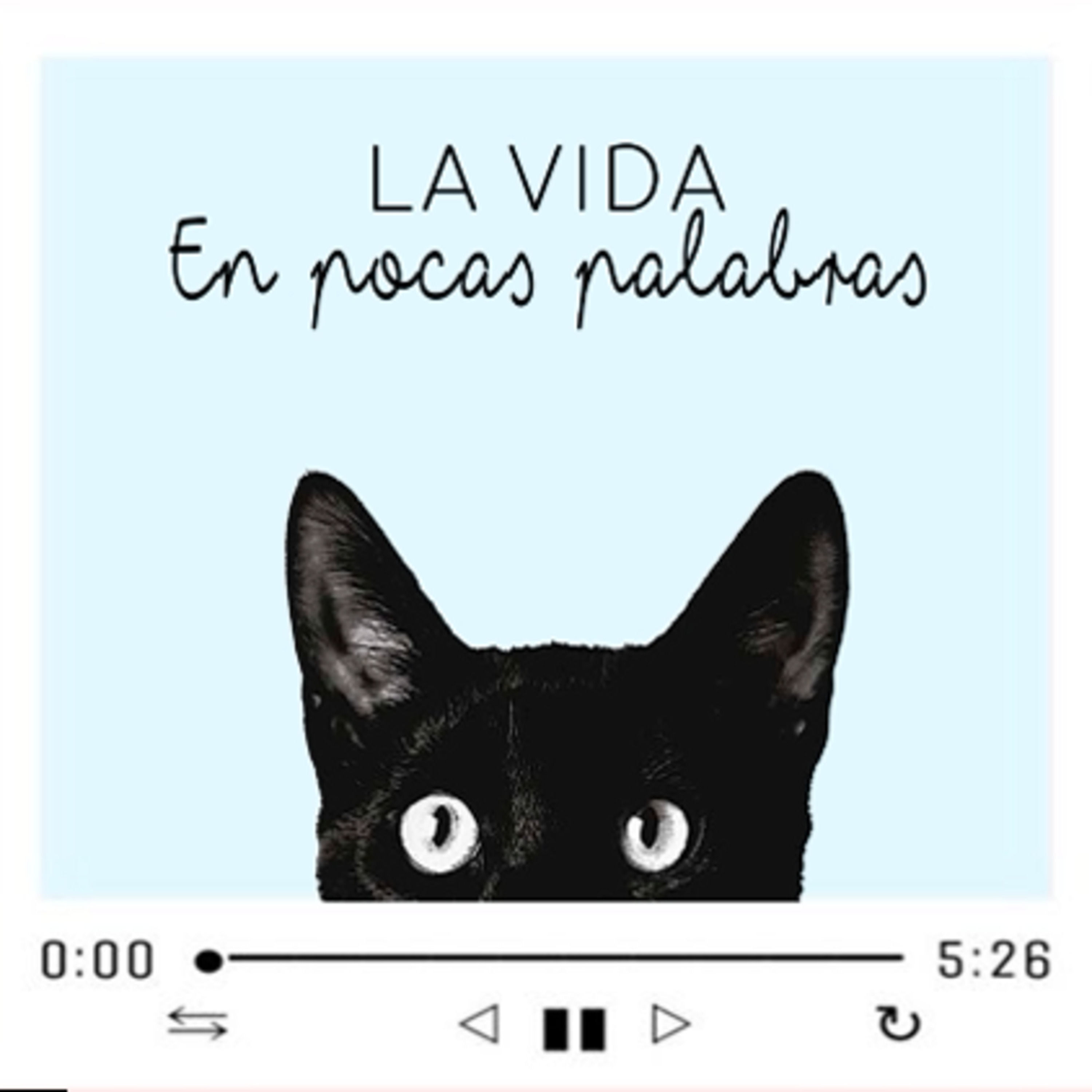 La vida En Pocas Palabras