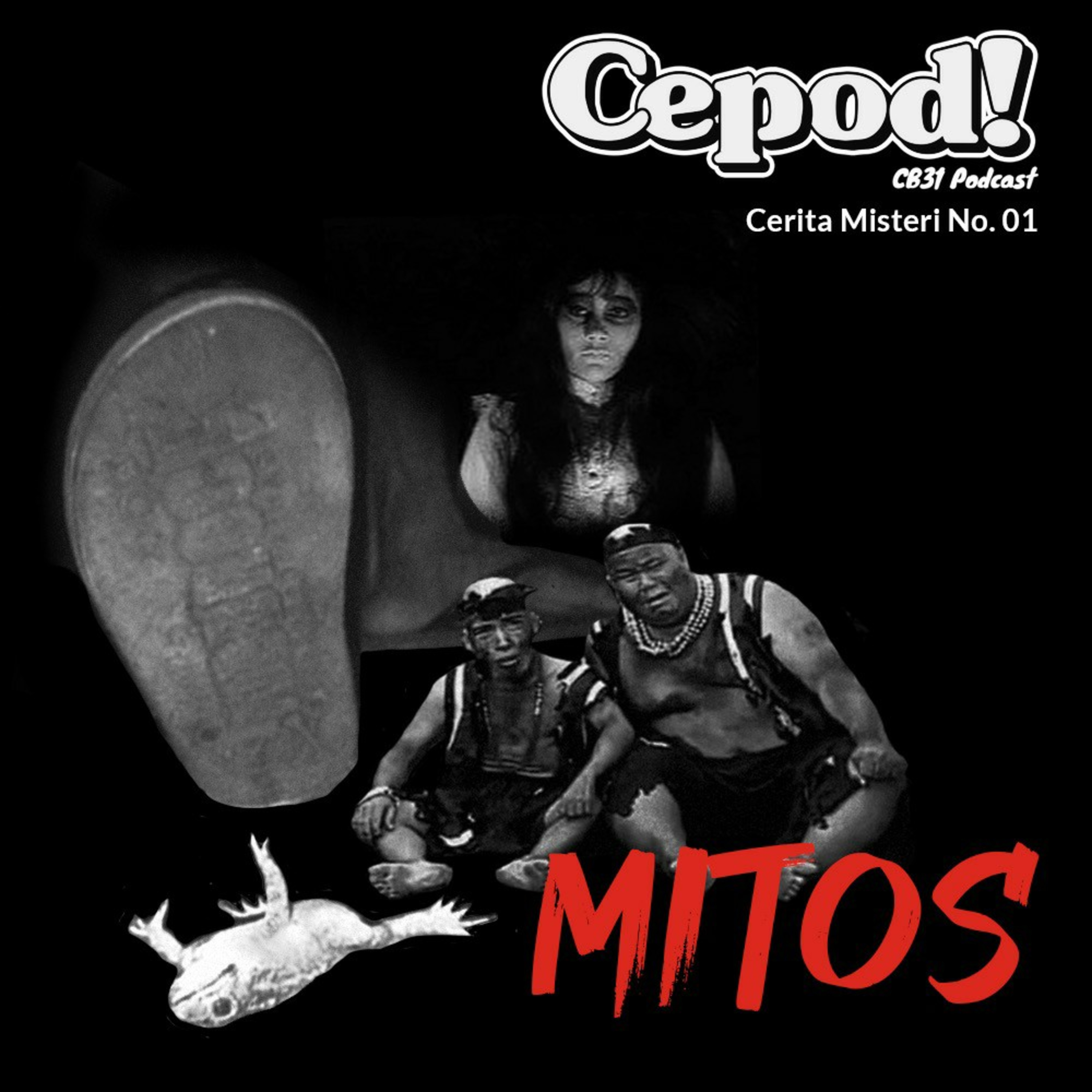 CEPOD : A Podcast By CB31