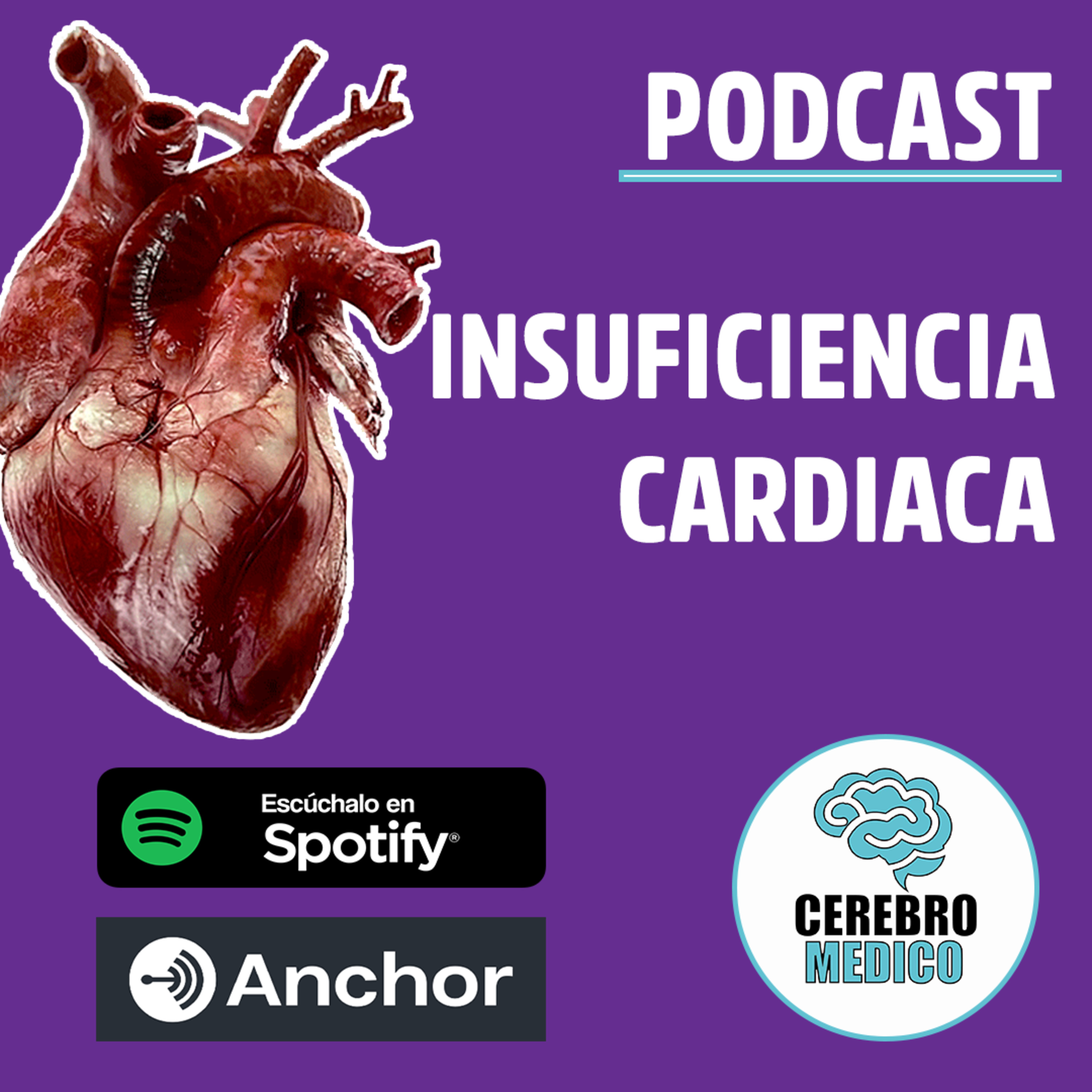 Cerebro Medico