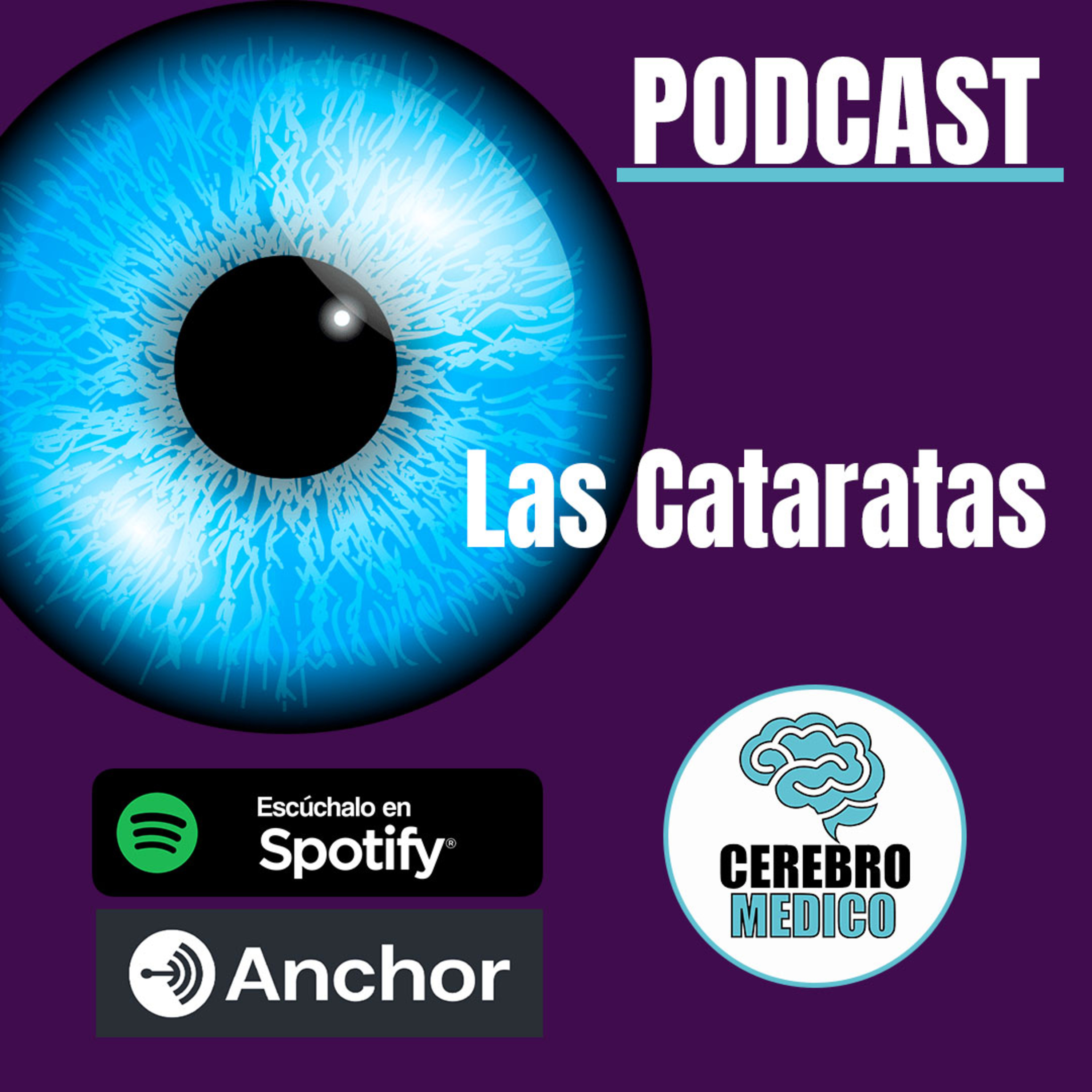 Las Cataratas