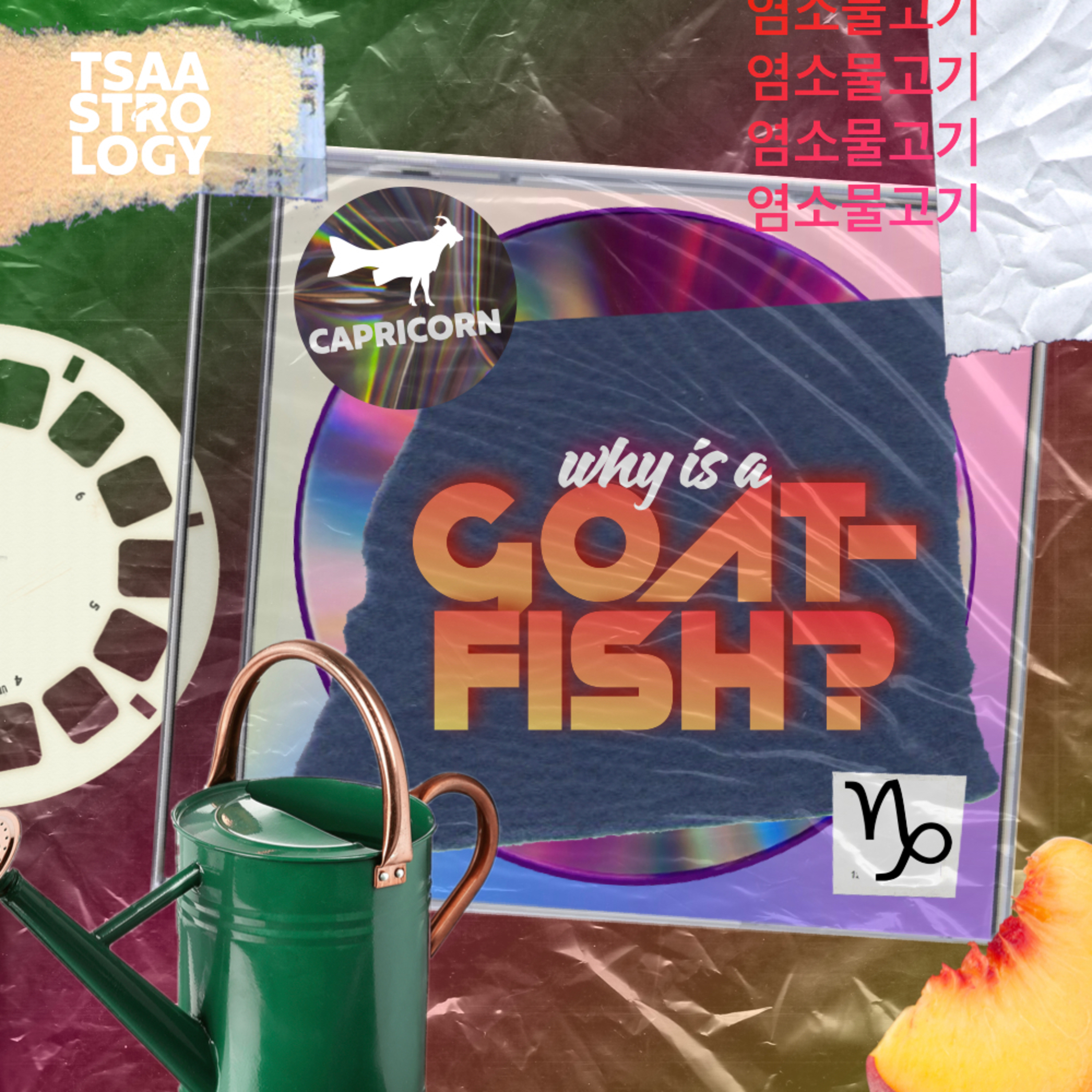 5.15 Tsaa: CAPRICORN - Why Is A Goat-Fish? episode artwork
