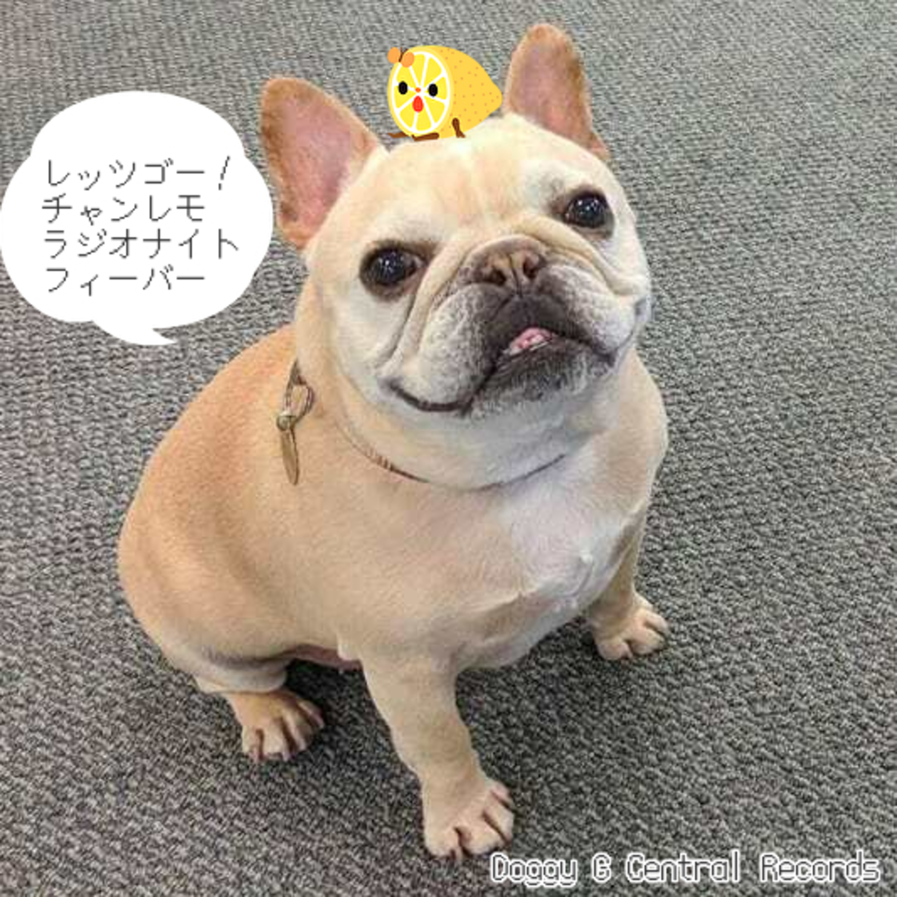 レッツゴー！チャンレモ・ラヂオナイト・フィーバー #1