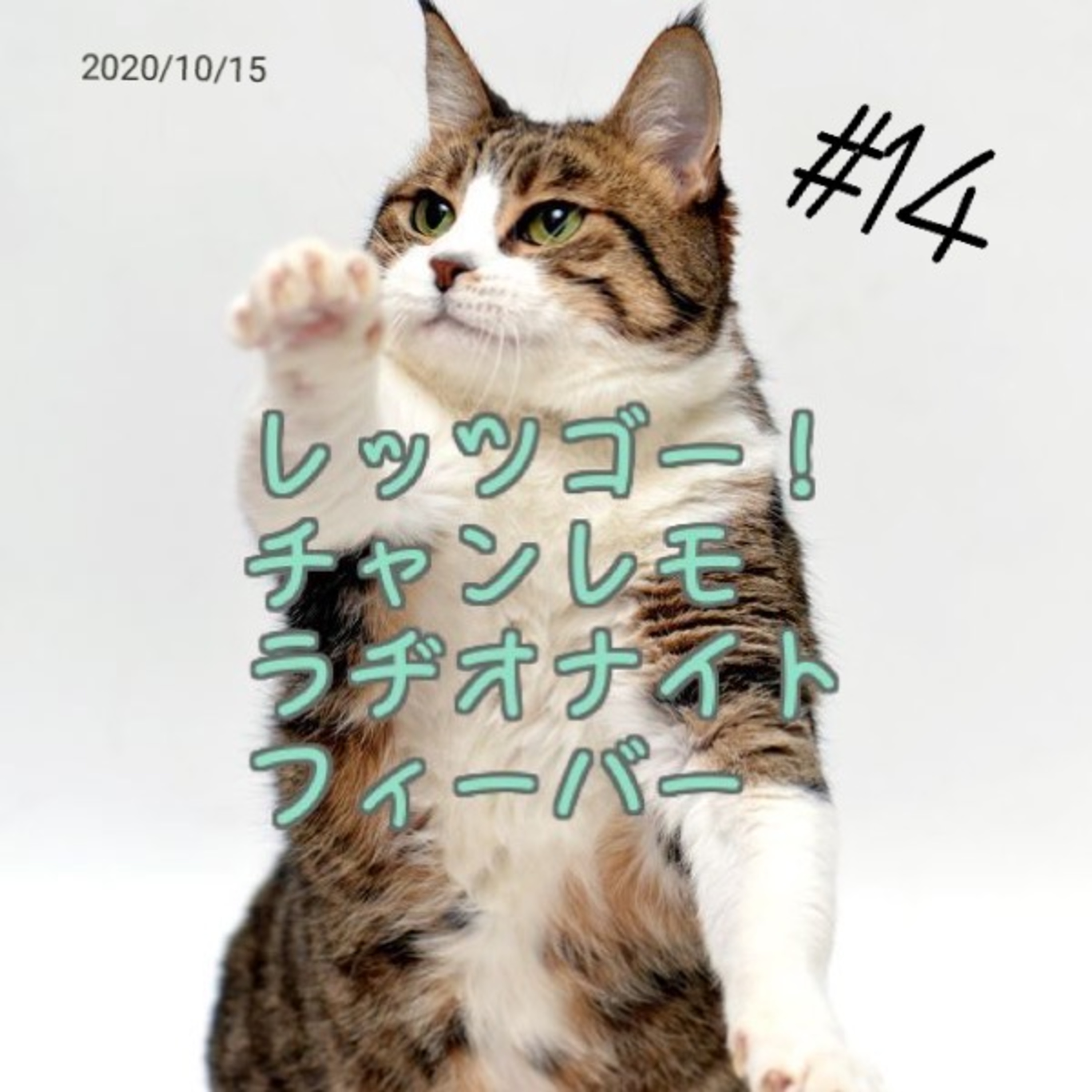レッツゴー！チャンレモ・ラヂオナイト・フィーバー #14