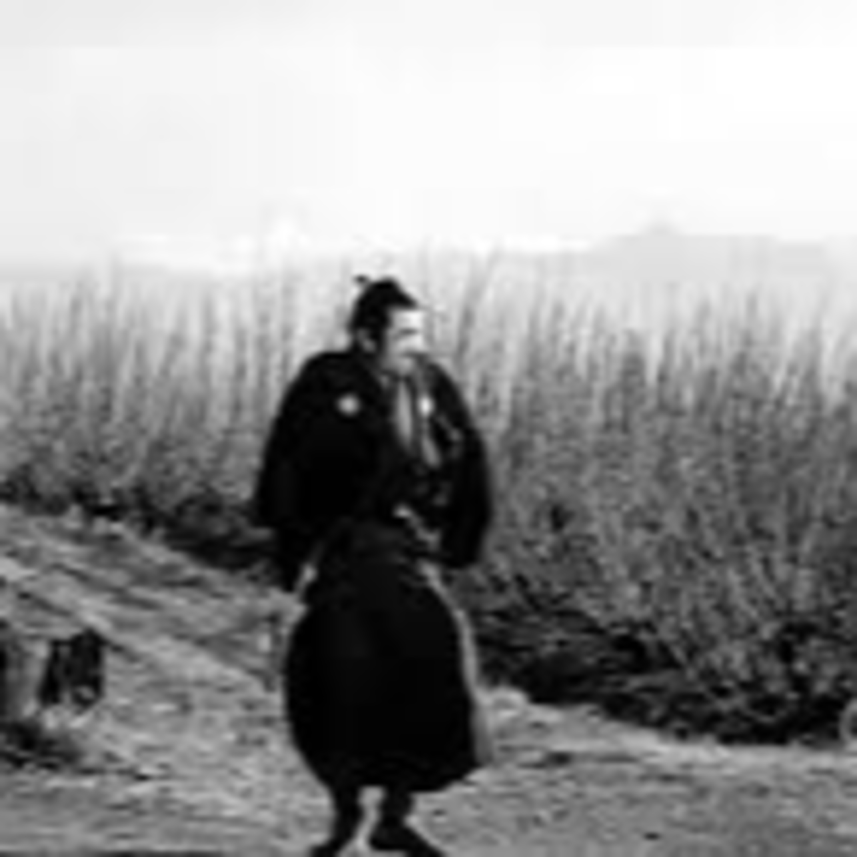 Cinema and Star Wars: Yojimbo episode artwork