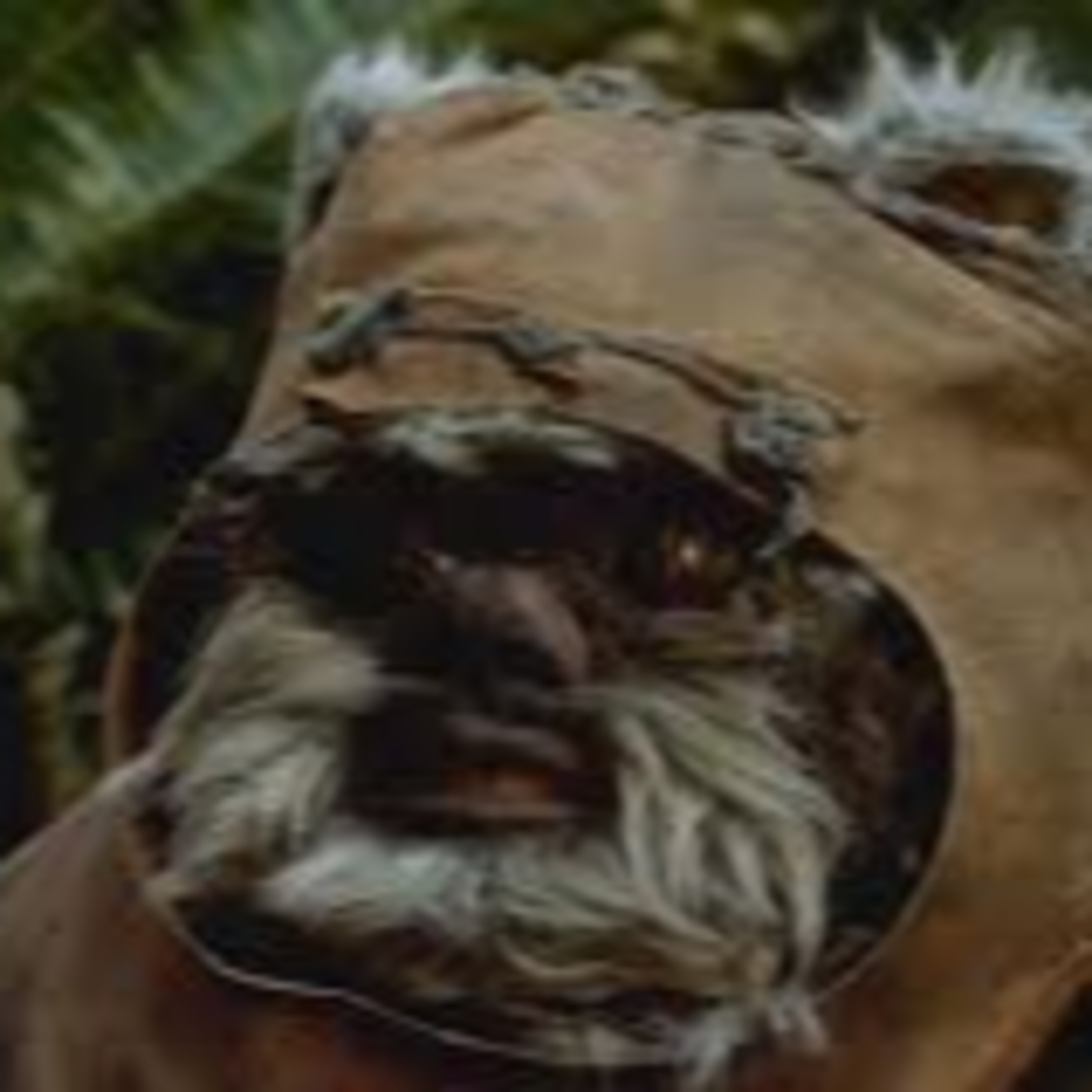 The Power of Nature in Star Wars episode artwork