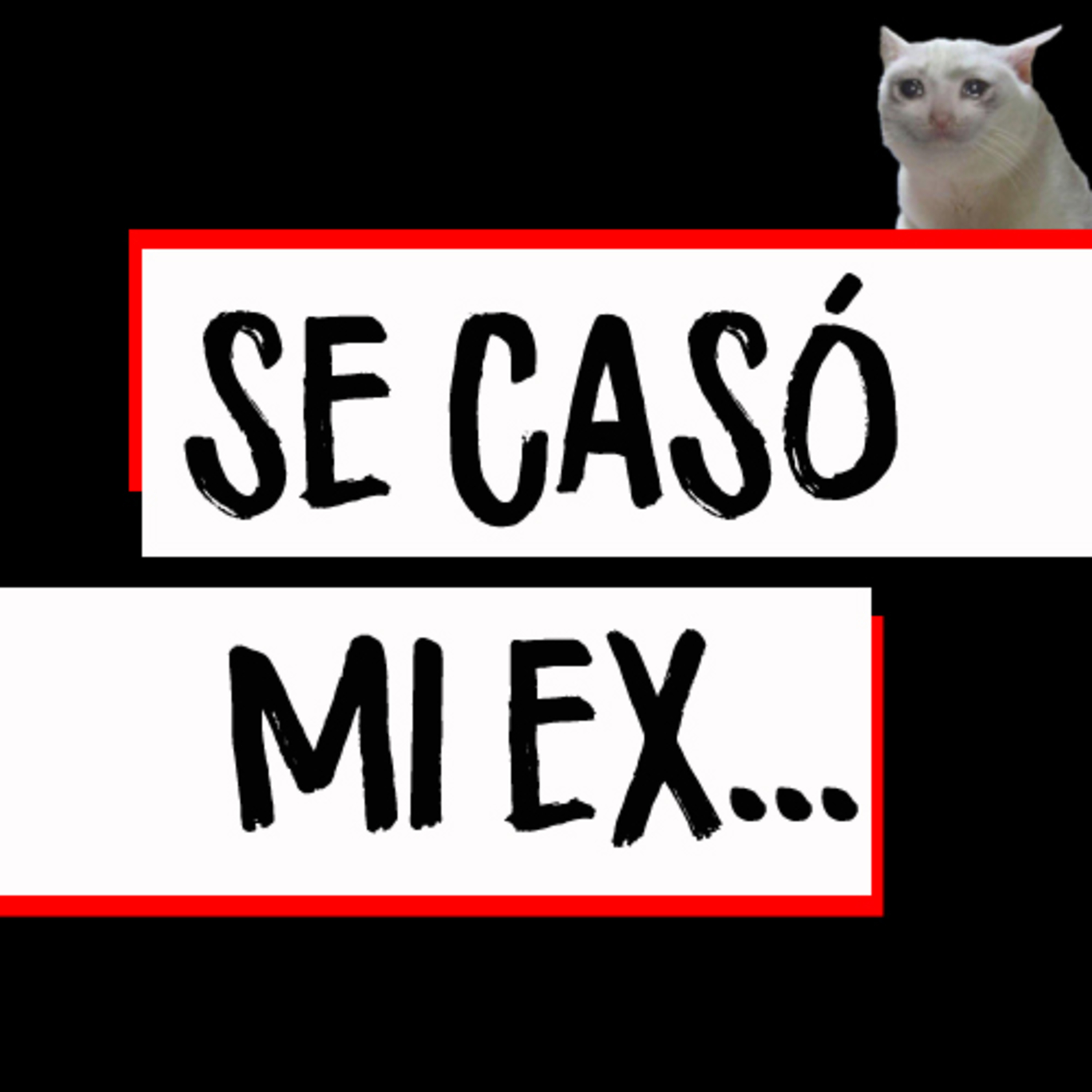 Mi Pinche Opinión