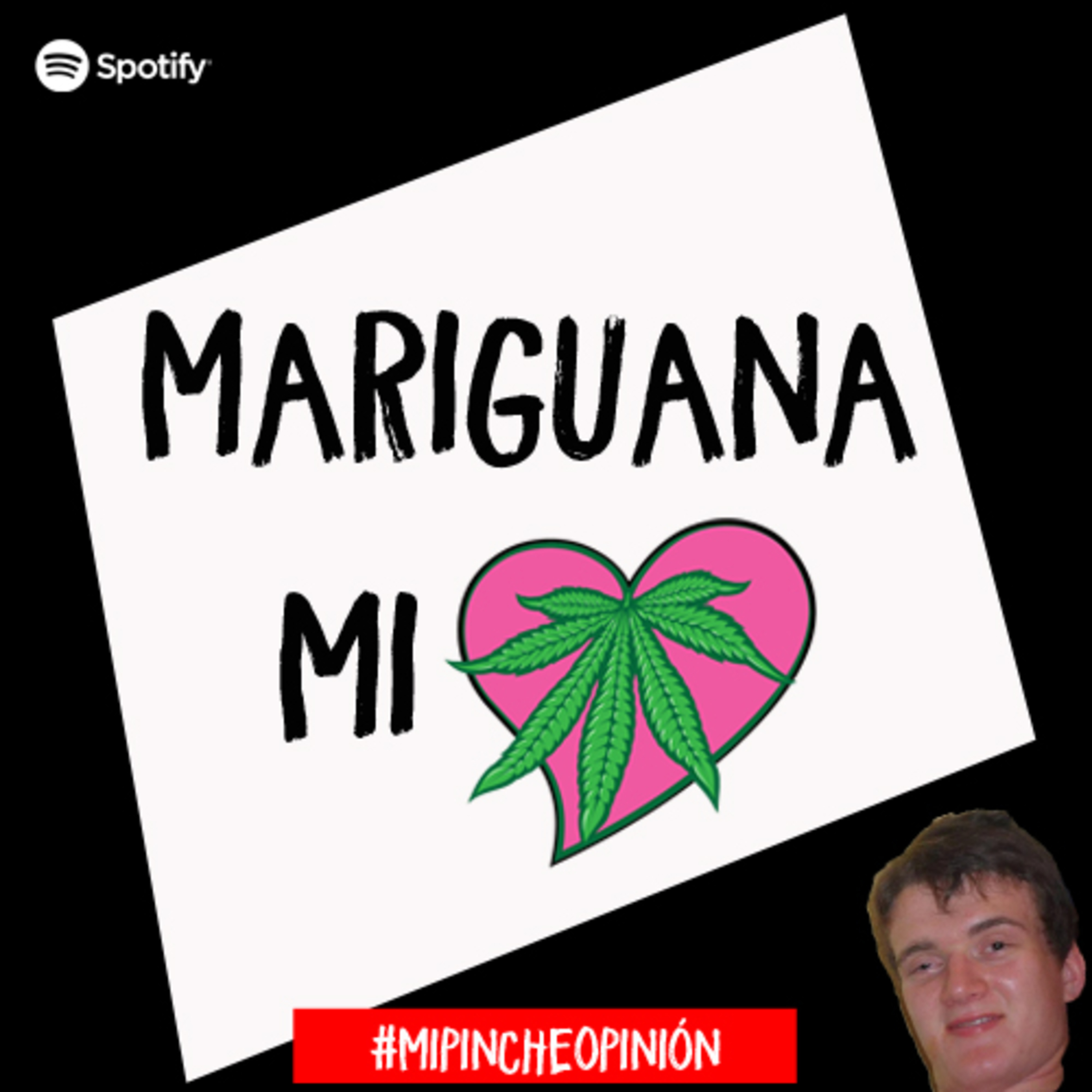 Mi Pinche Opinión