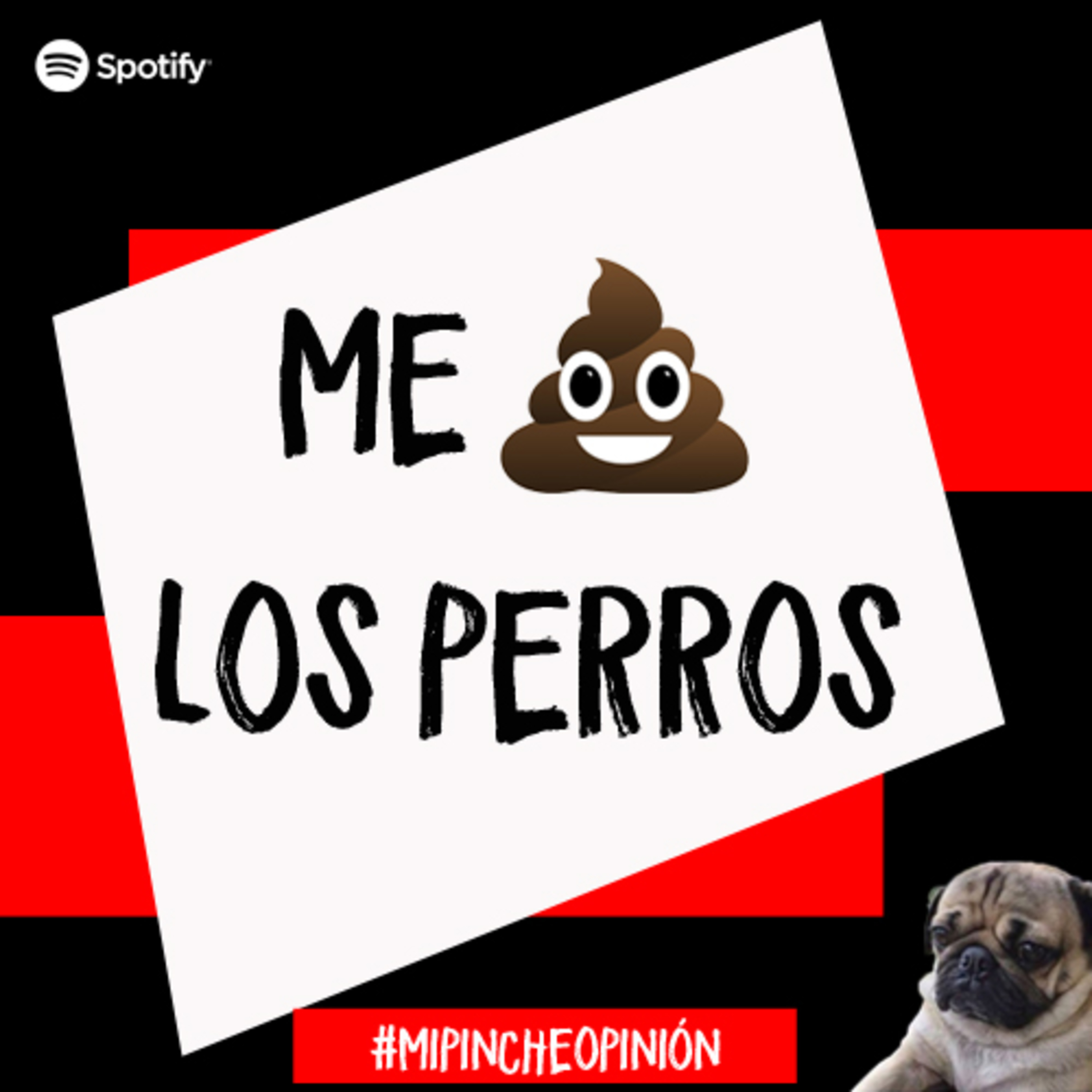 Mi Pinche Opinión