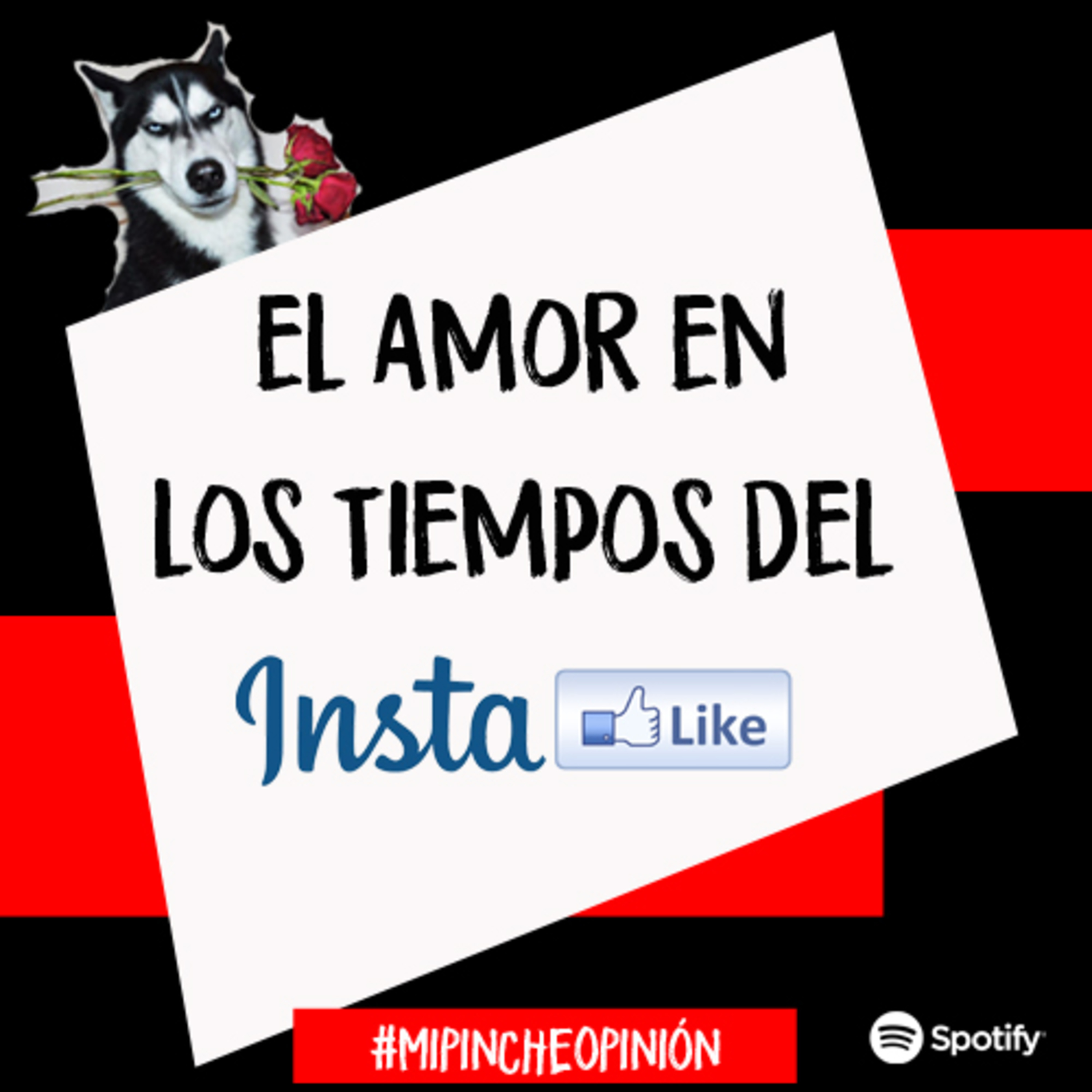 Mi Pinche Opinión