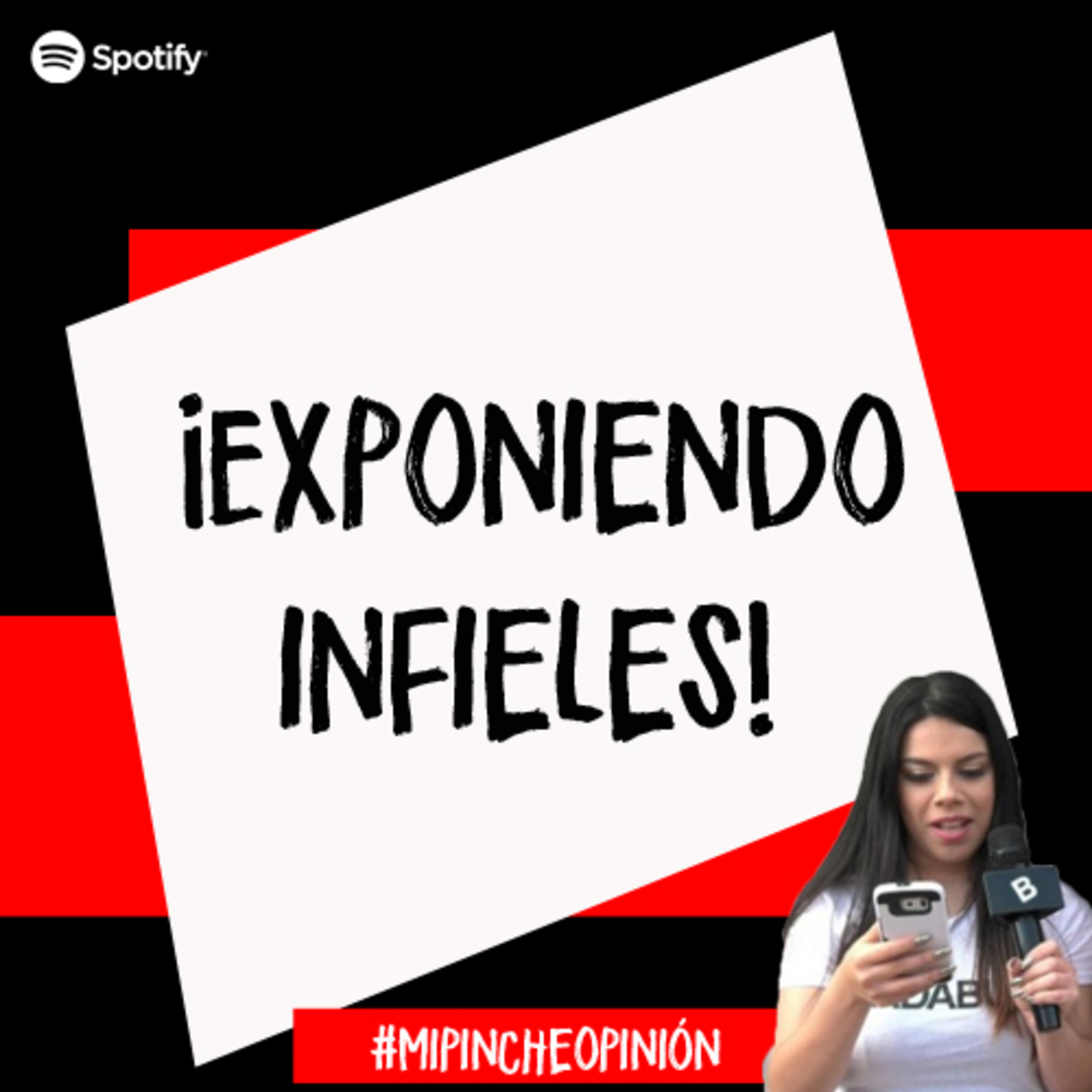 Mi Pinche Opinión