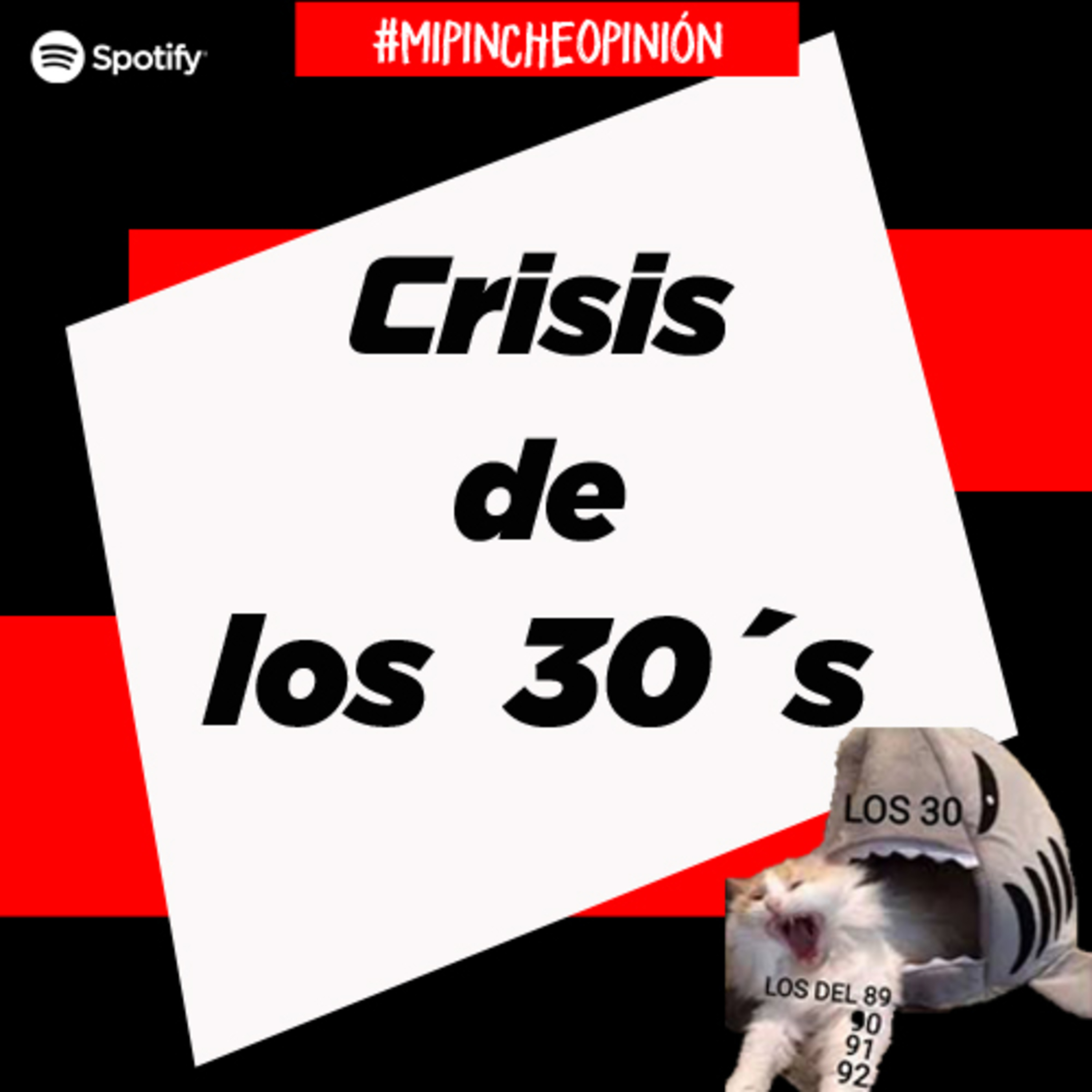 Mi Pinche Opinión