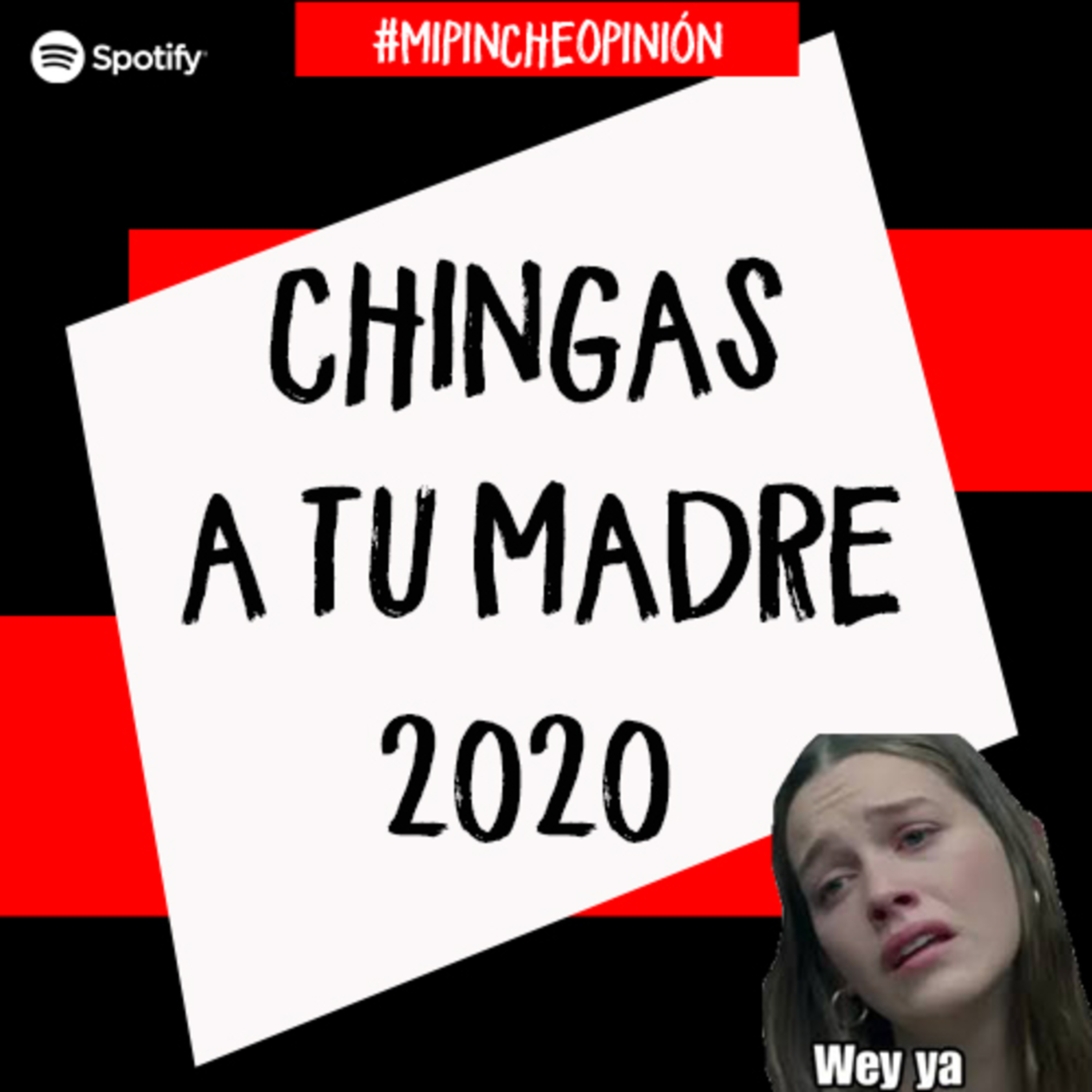 Mi Pinche Opinión