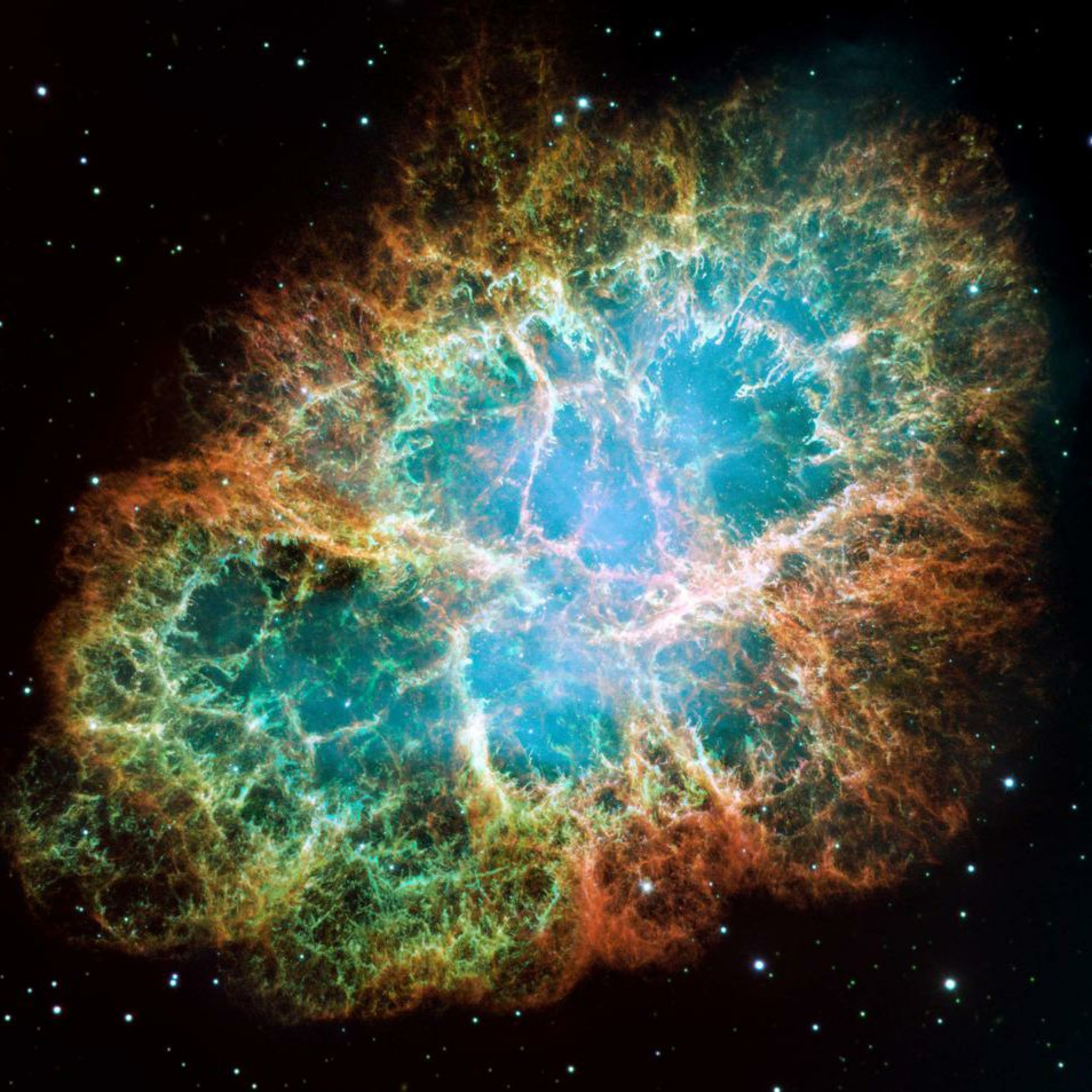 UNITED FUTURTARIANS®