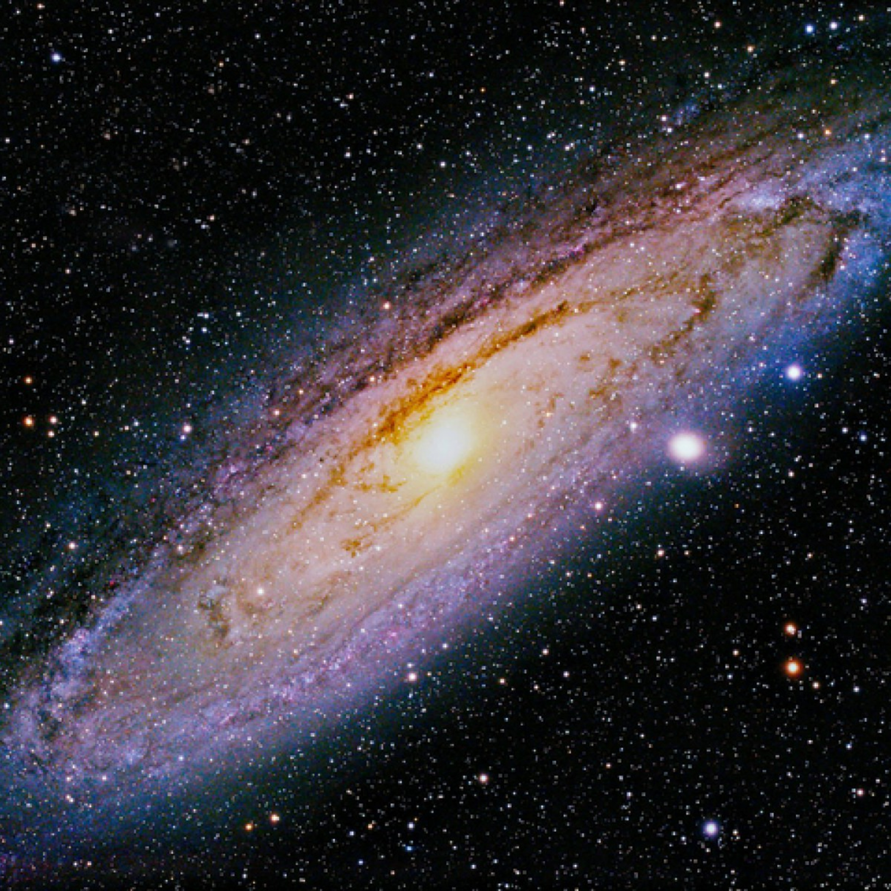 UNITED FUTURTARIANS®