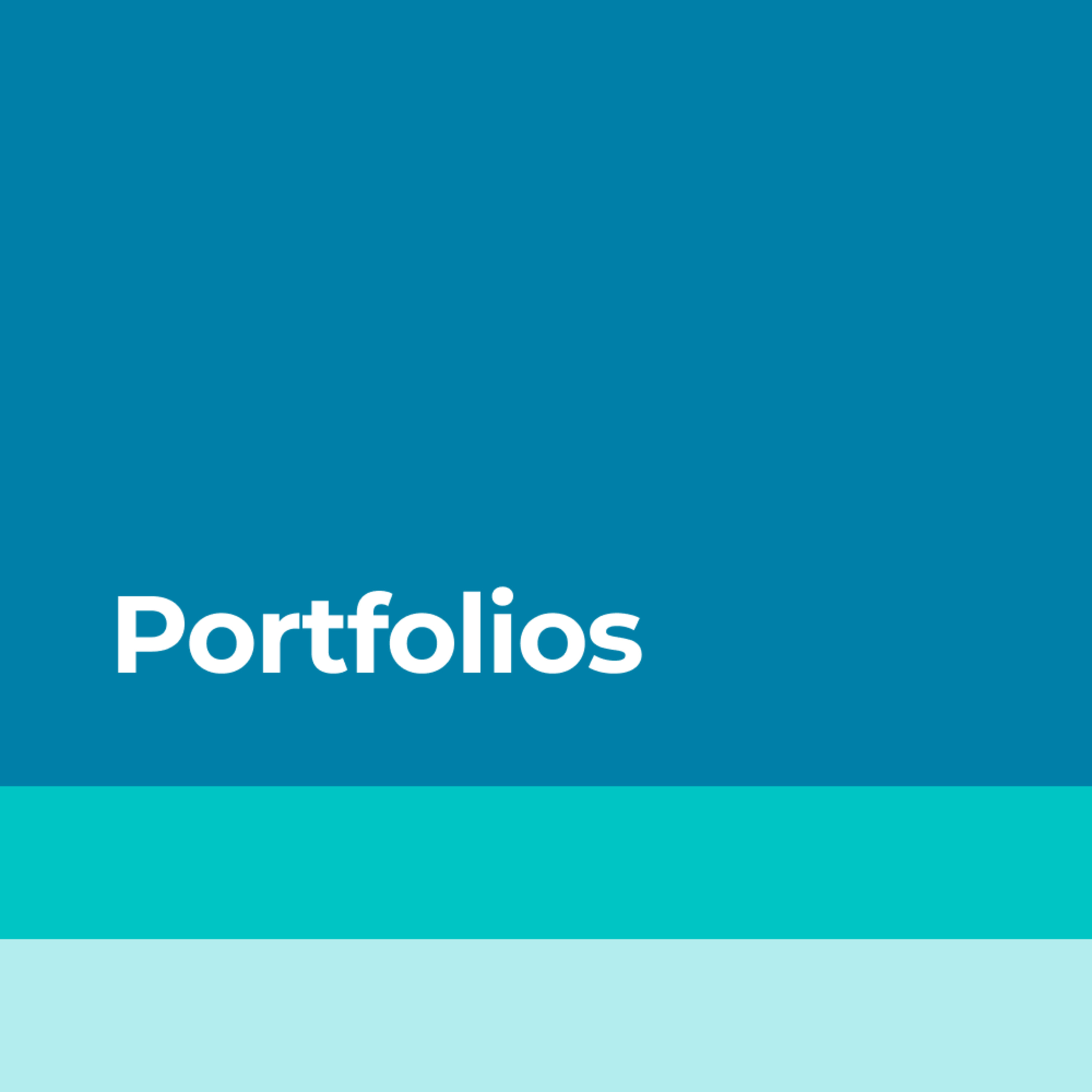 21 - Lo de los Portfolios