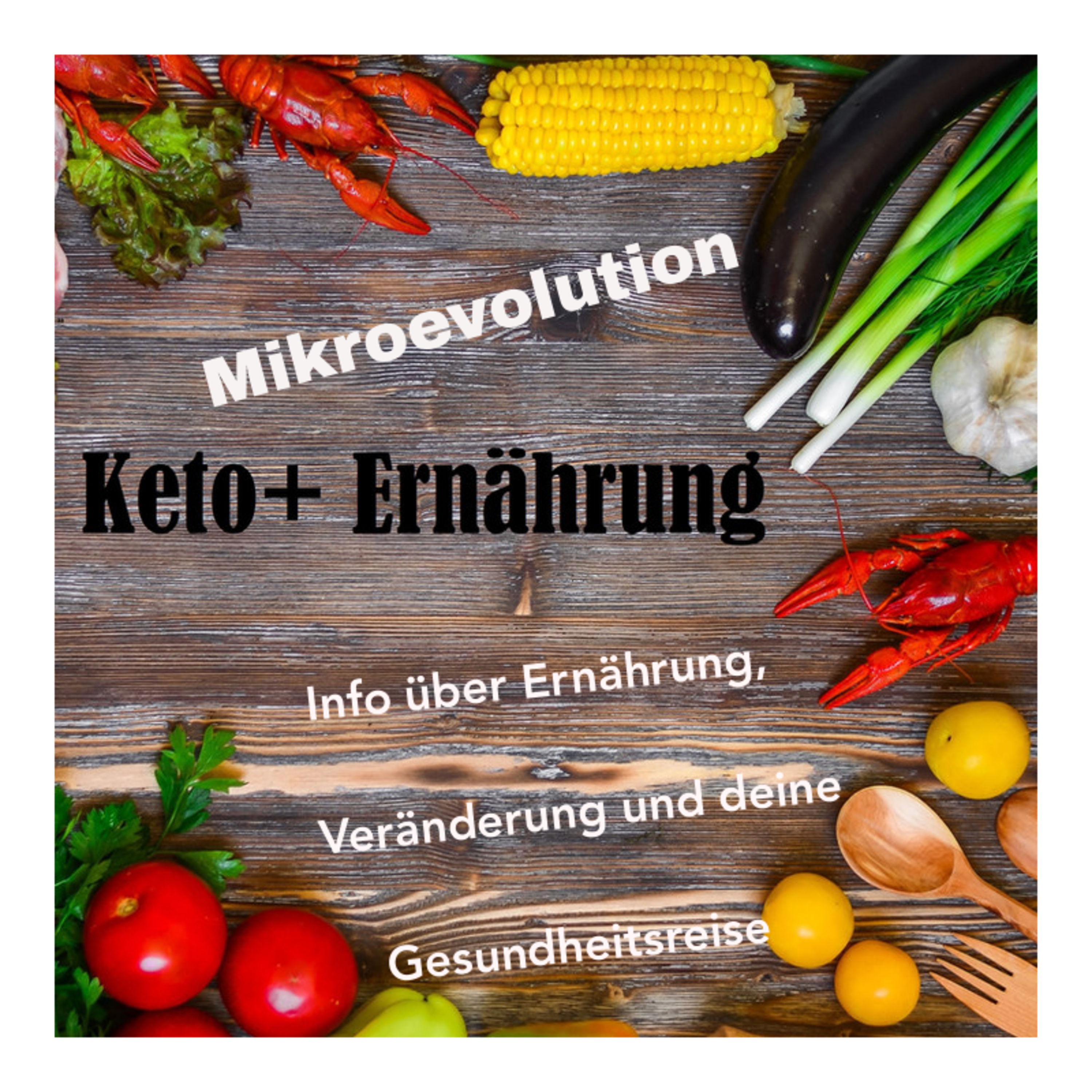 GesundheitsPhi: Gesundheit verstehen