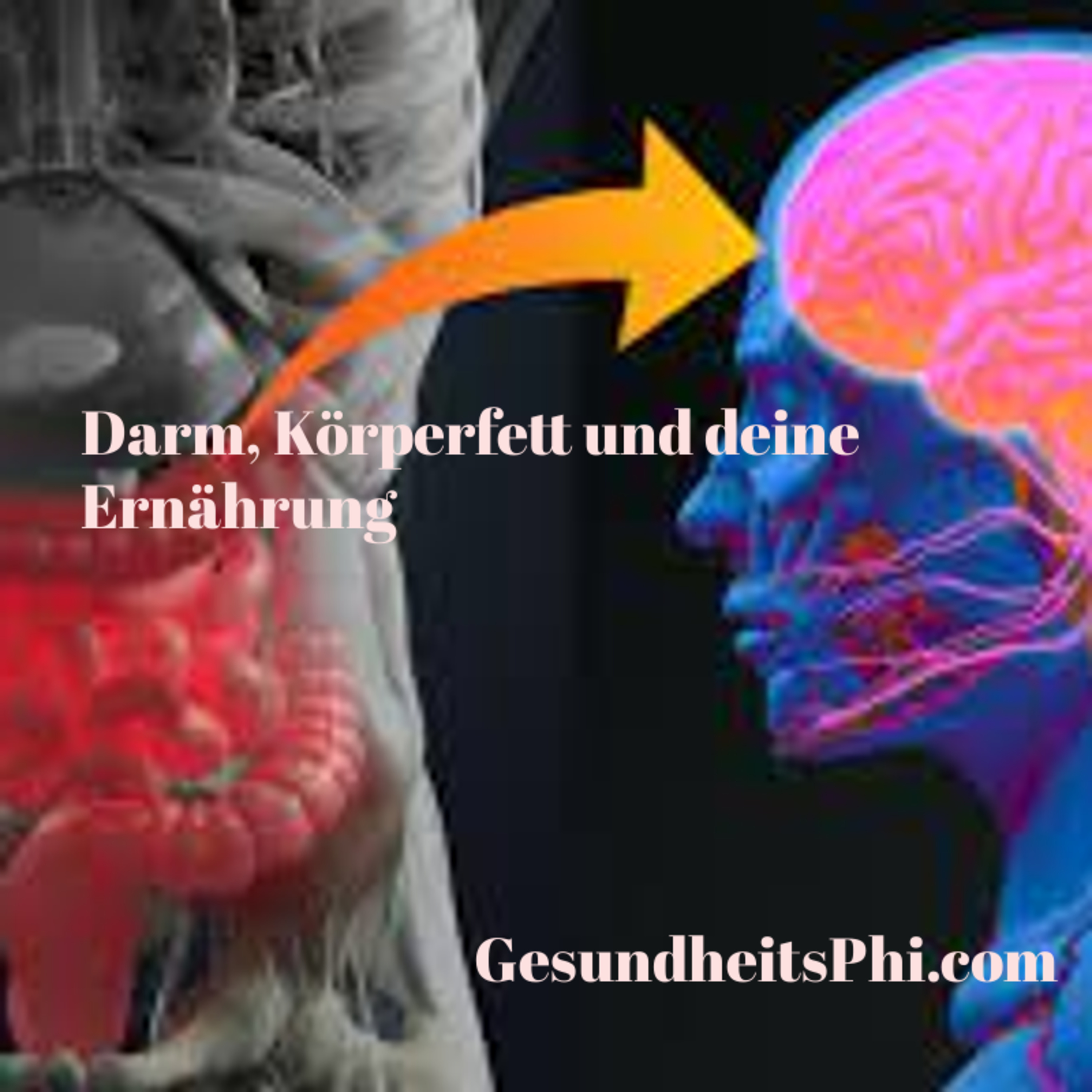 GesundheitsPhi: Gesundheit verstehen