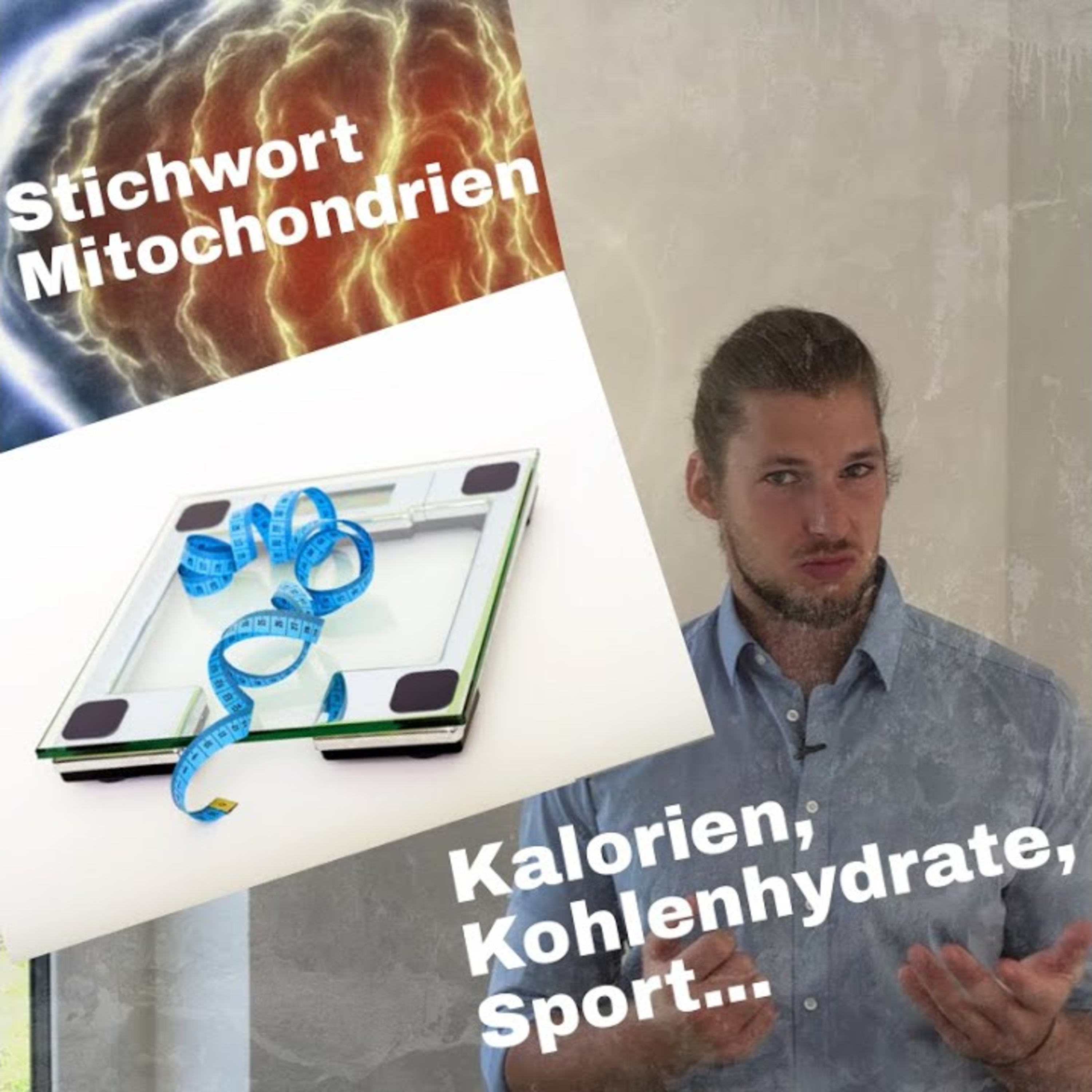 GesundheitsPhi: Gesundheit verstehen