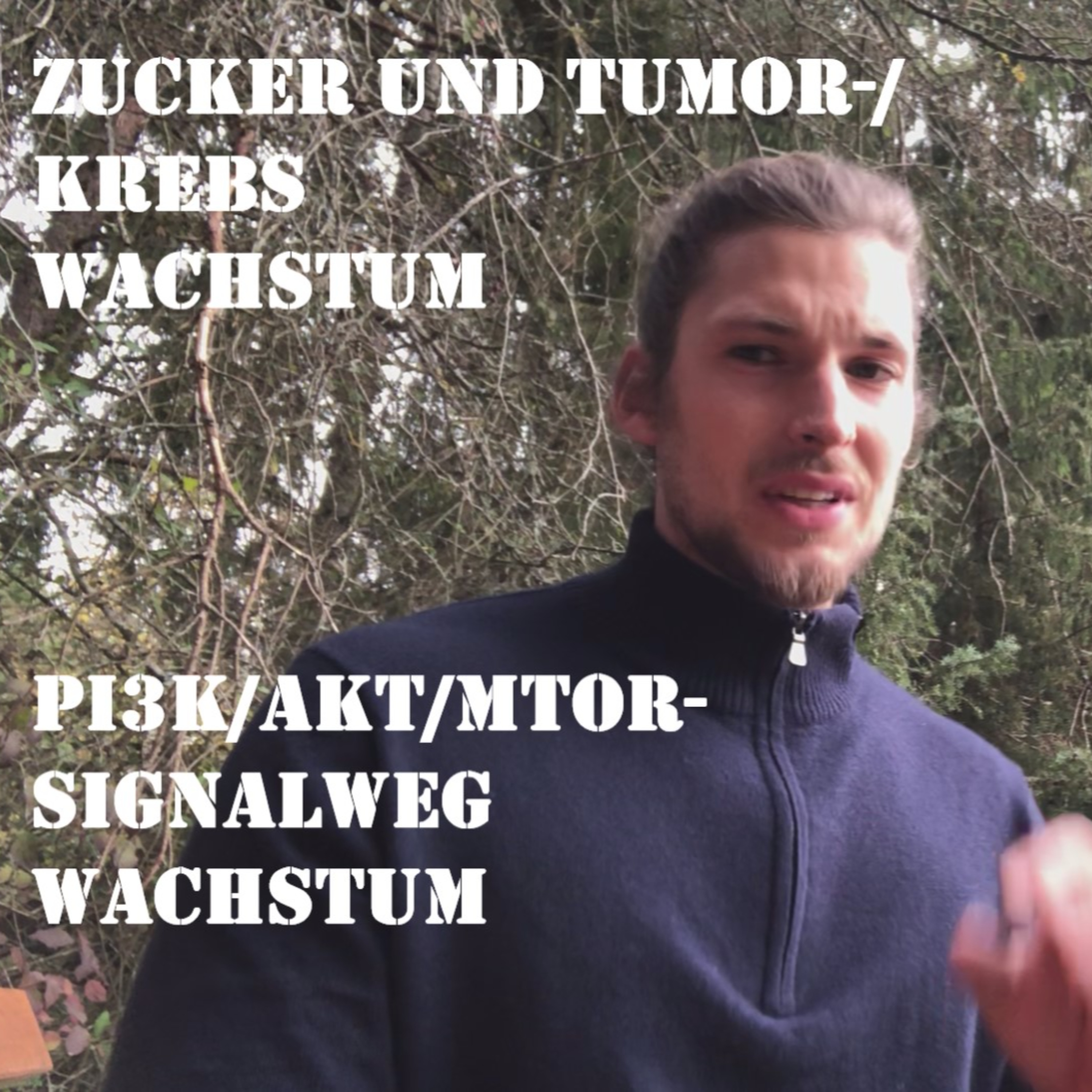 GesundheitsPhi: Gesundheit verstehen