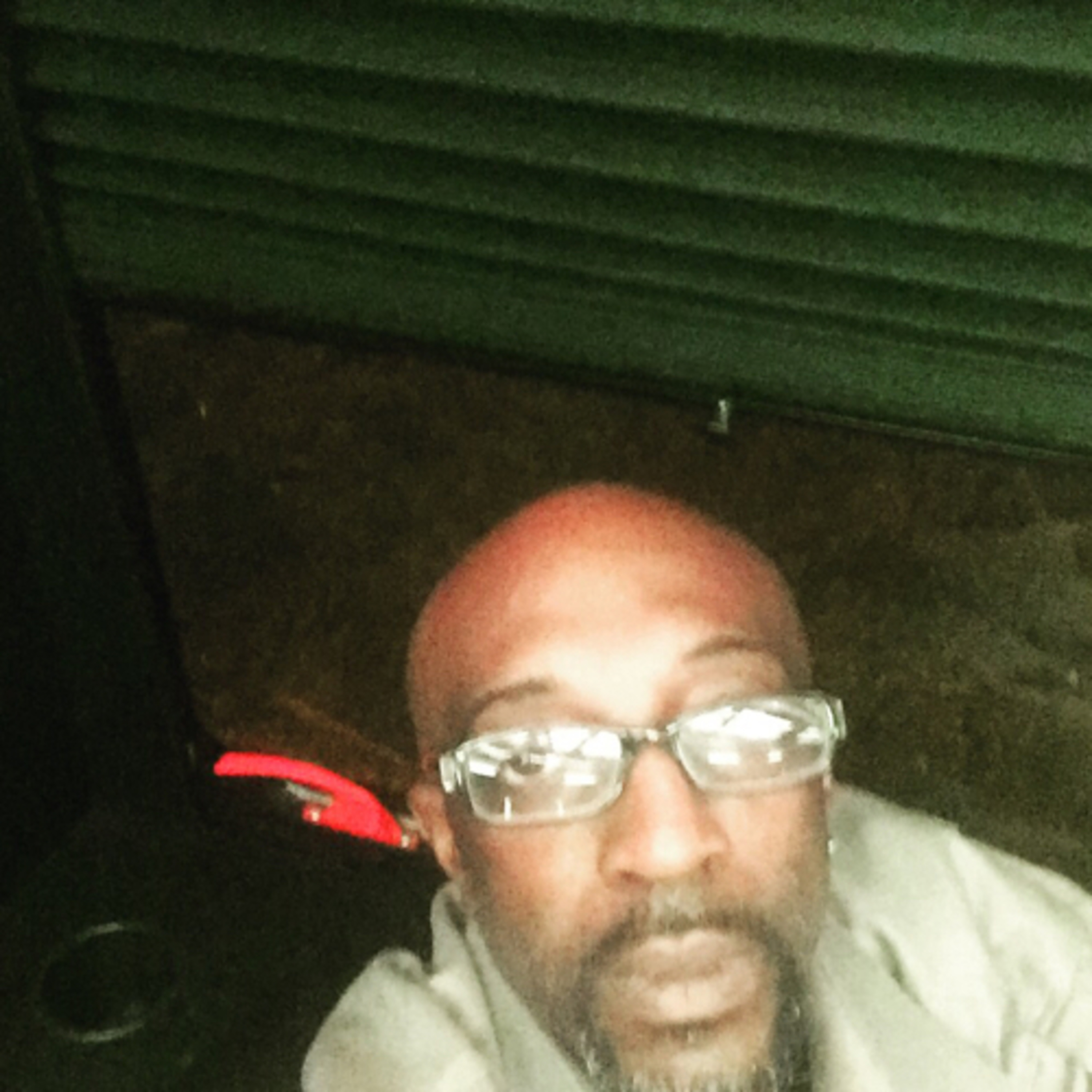 Monkee Fogle Goin Bananas Jungle Show