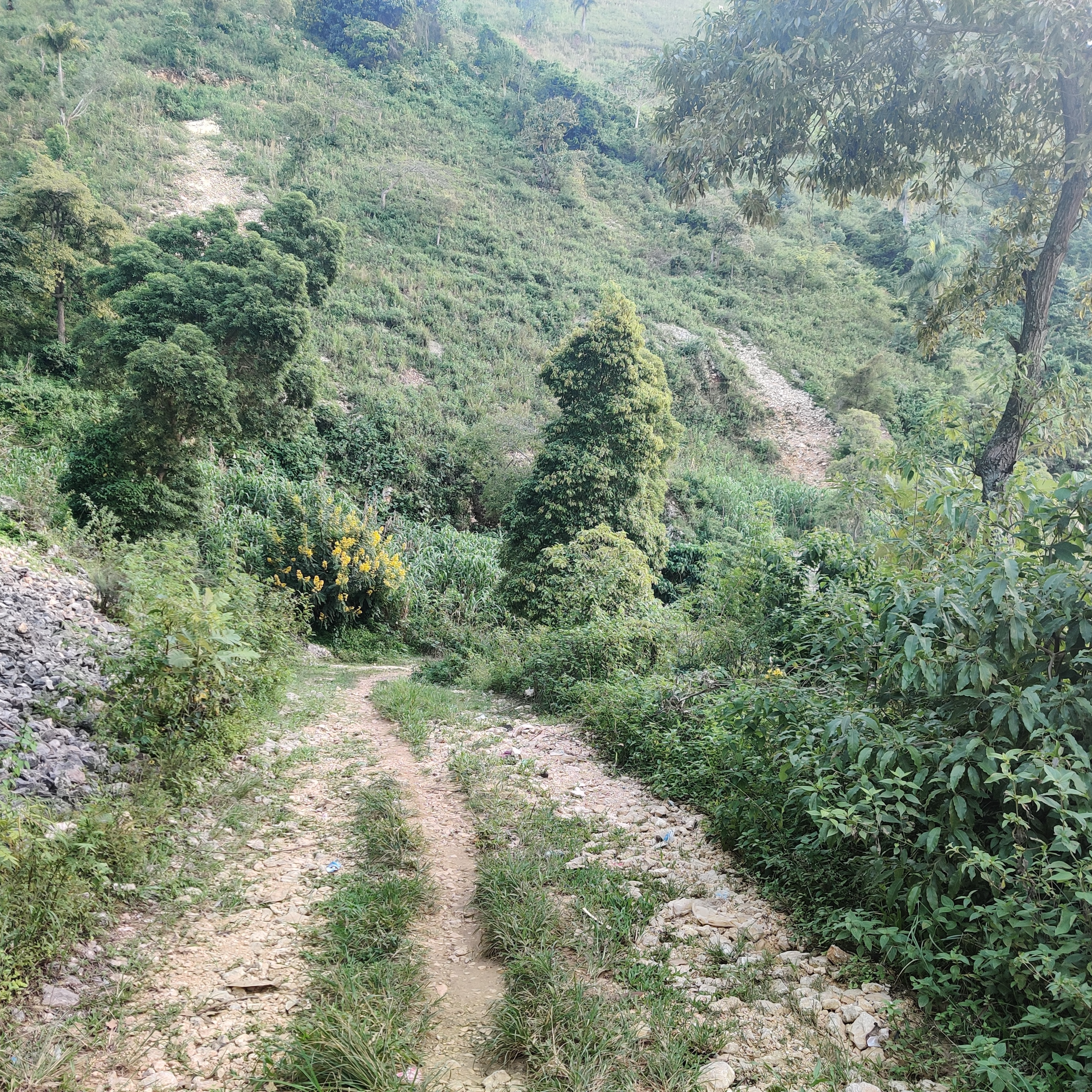 AyiboLab