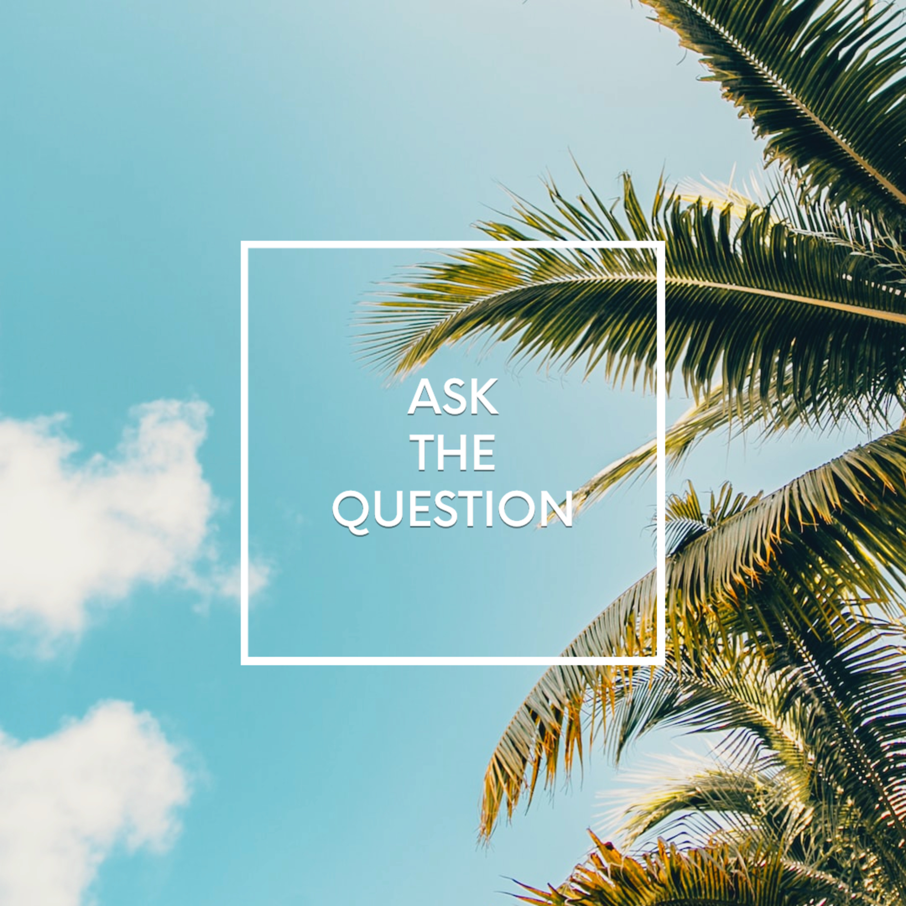 Ask the Question