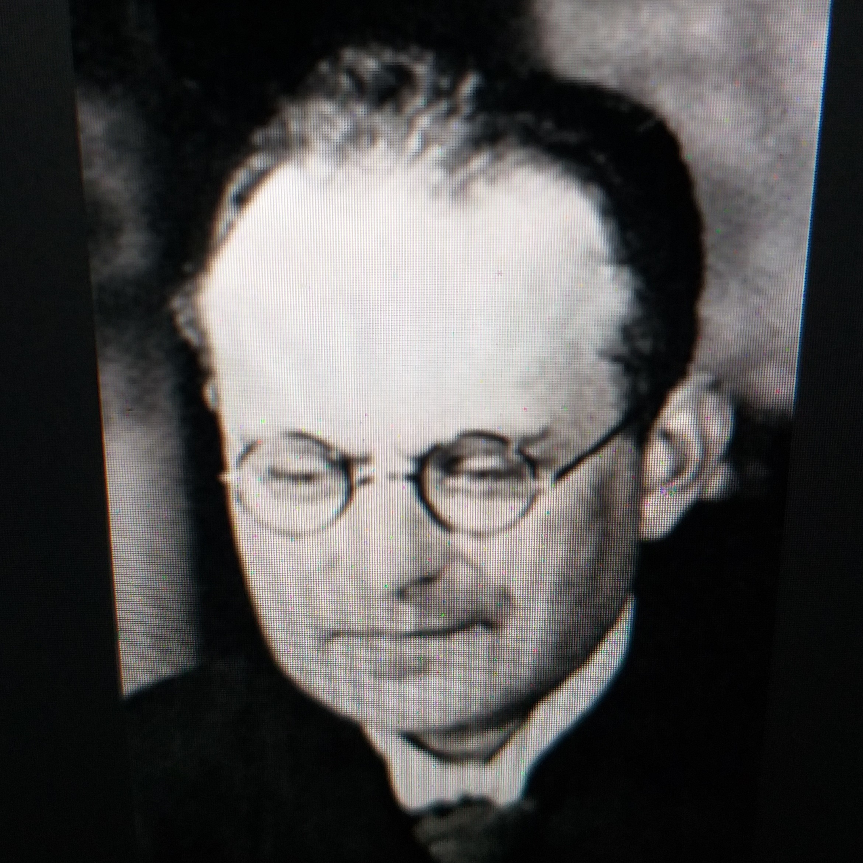 A. Nimzowitsch Mein System - Der Freibauer - Definition  episode artwork