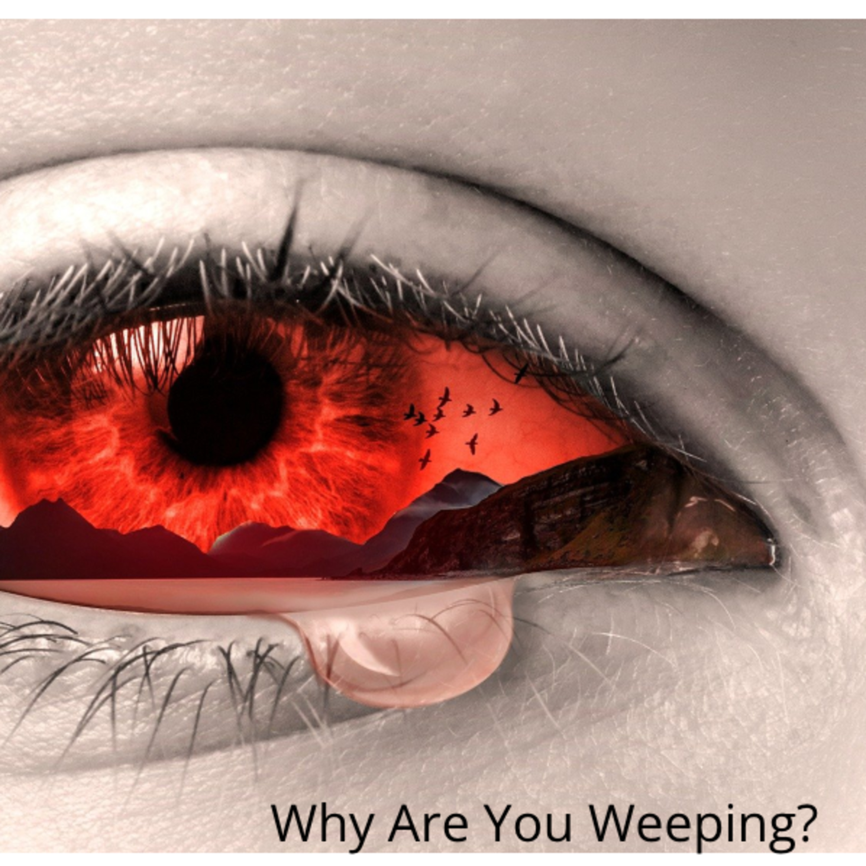 The Real with Jimmie Bratcher