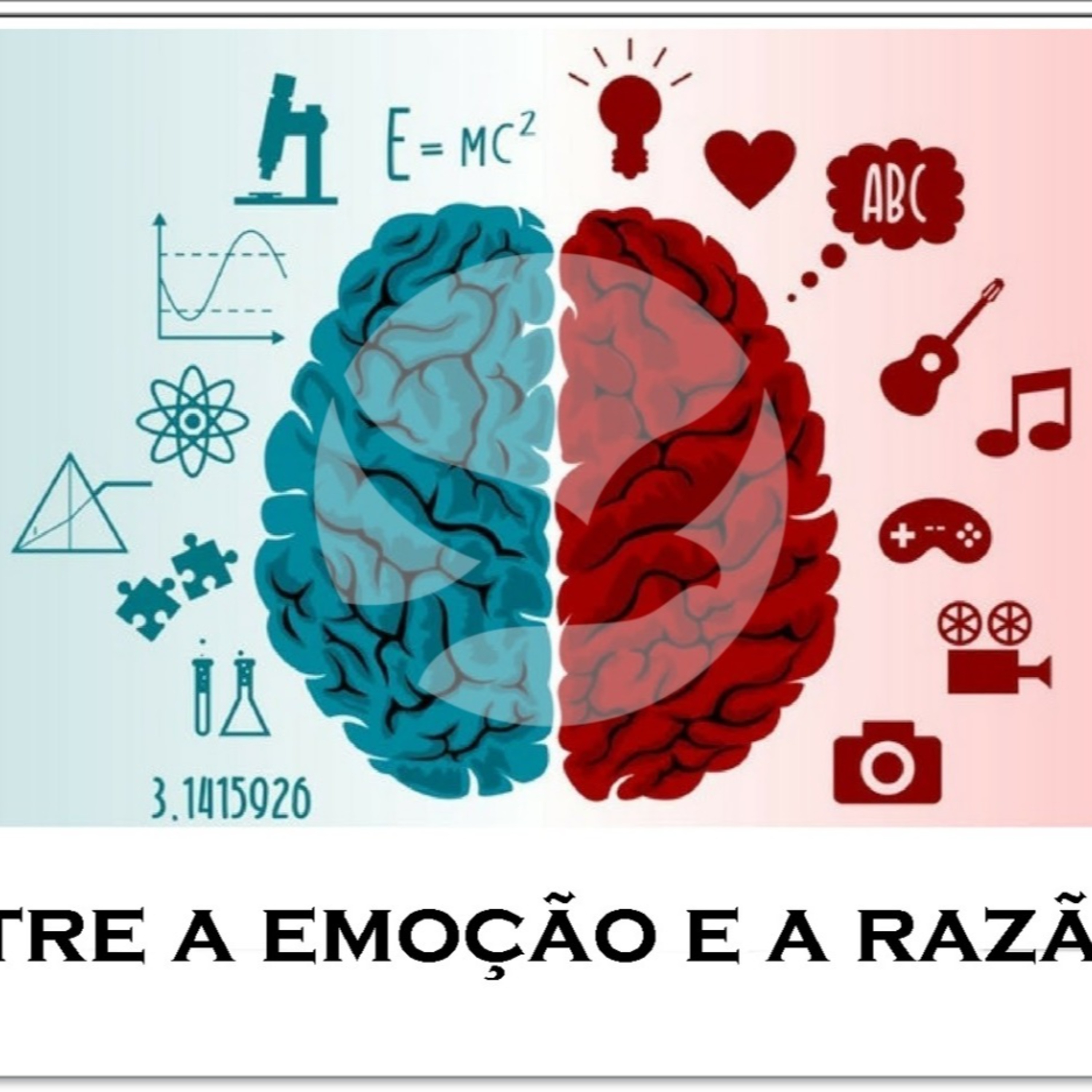 SEM categoria
