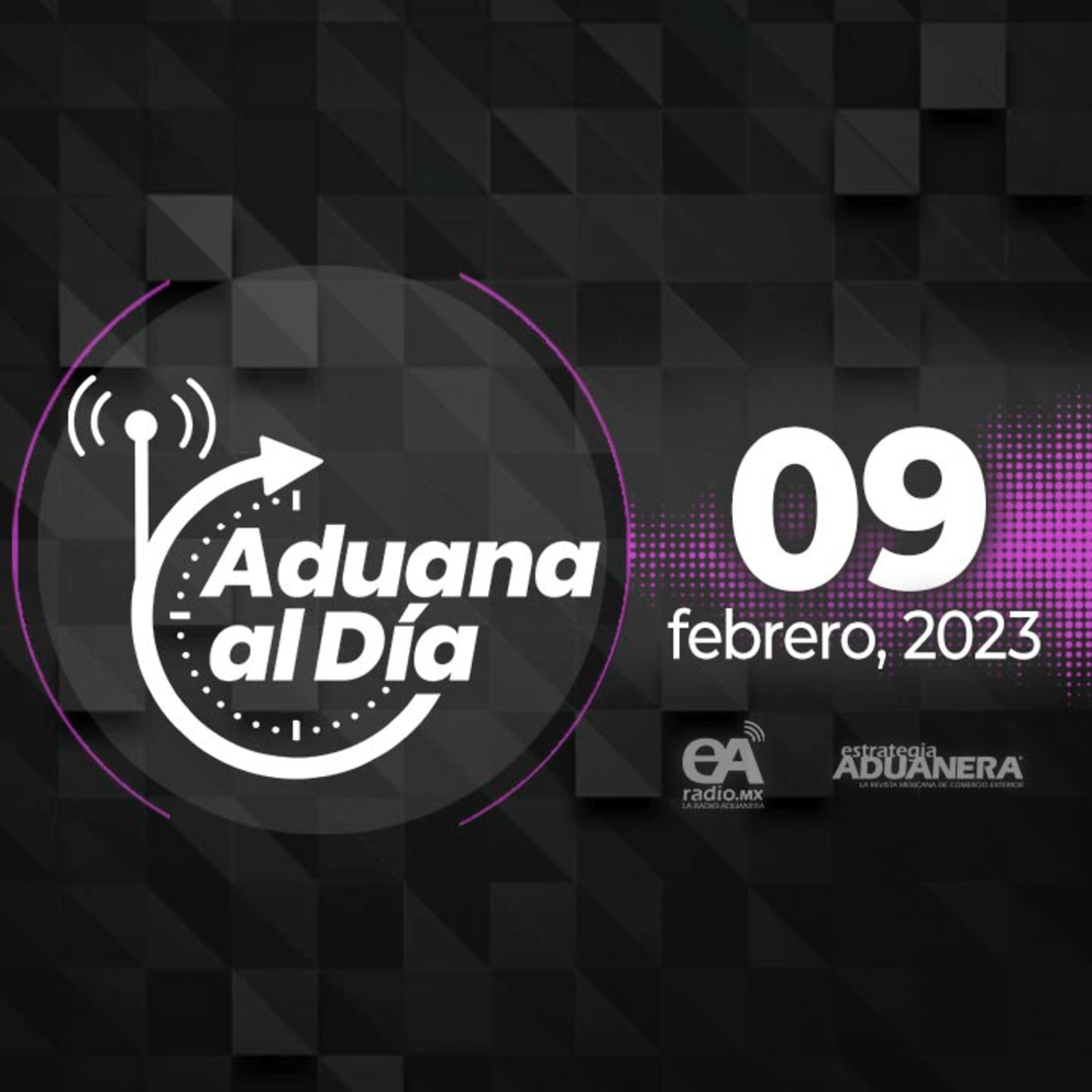 Portada de Aduana al Día