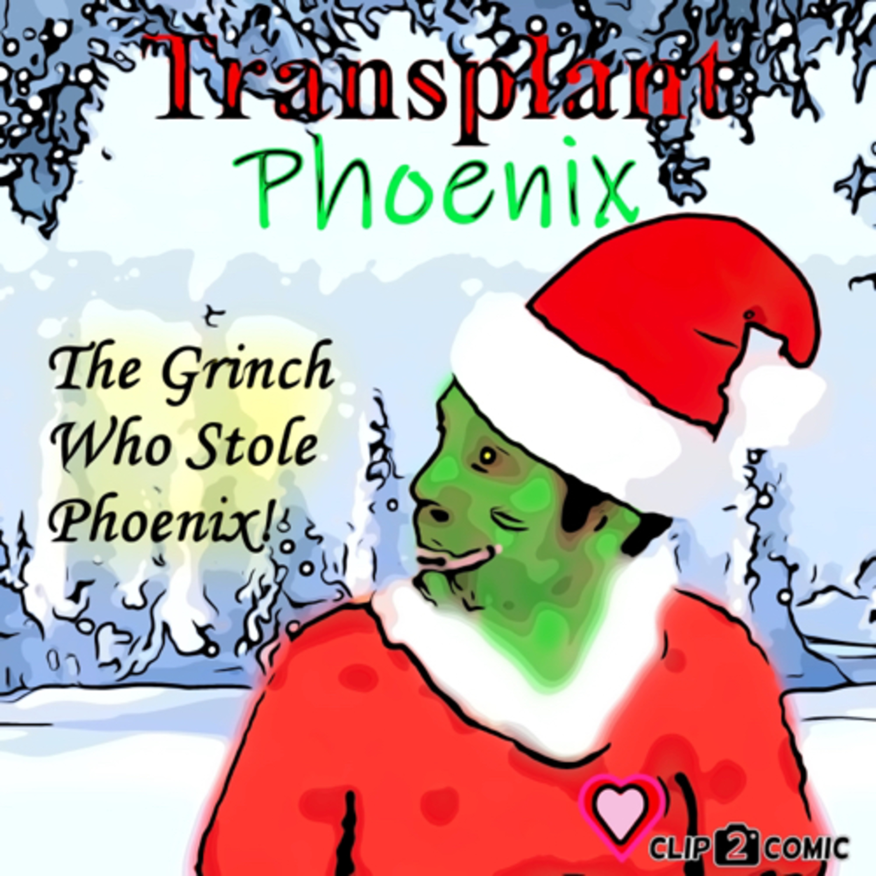 Transplant Phoenix